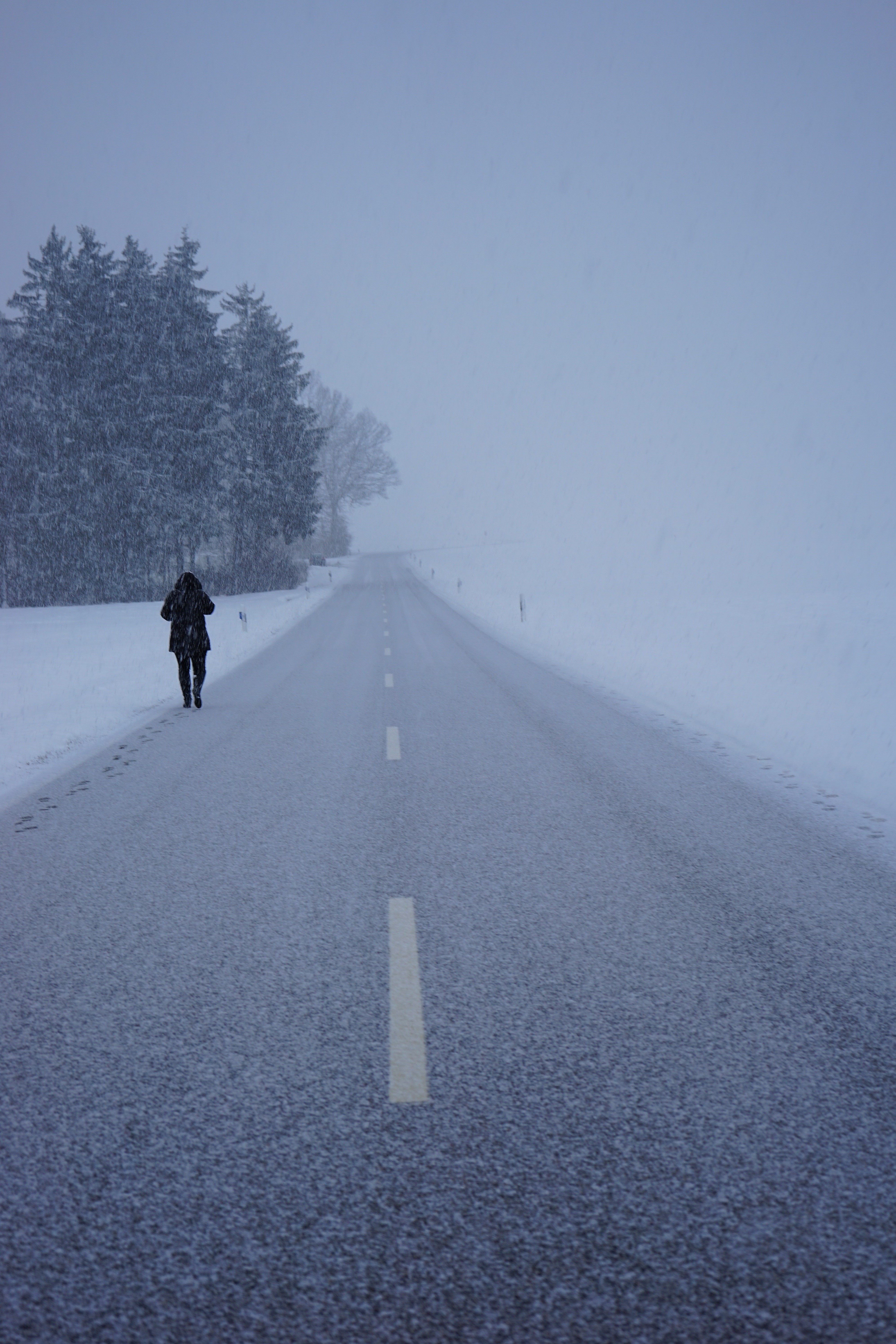 winter storm, rear view, frost, snowfall, day, central reservation, road marking, walking, flake, direction, cold temperature, sign, winter, 5K, transportation, Phone HD Wallpaper