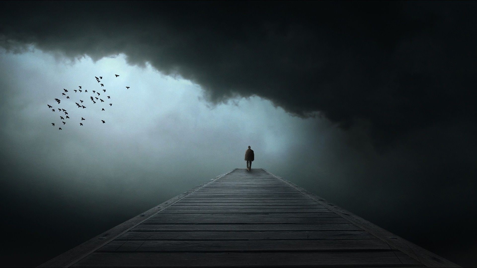 dark, 1080P, alone, sky, birds, HD Wallpaper