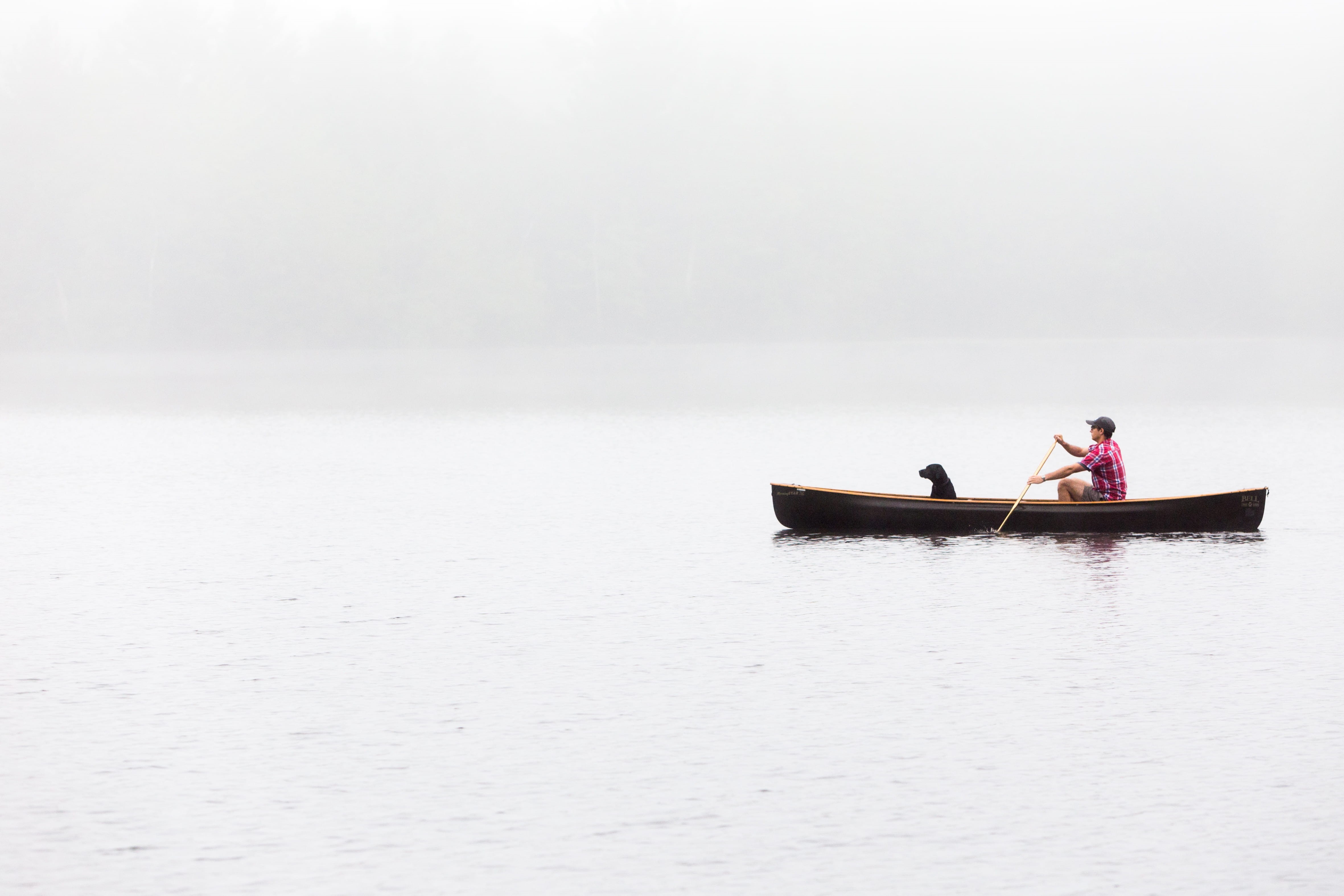 paddling, boat, rowboat, canoe, sport, recreational Pursuit, landscape, tranquility, riding, nautical Vessel, canoeing, body, dog, water, leisure activity, HD Wallpaper