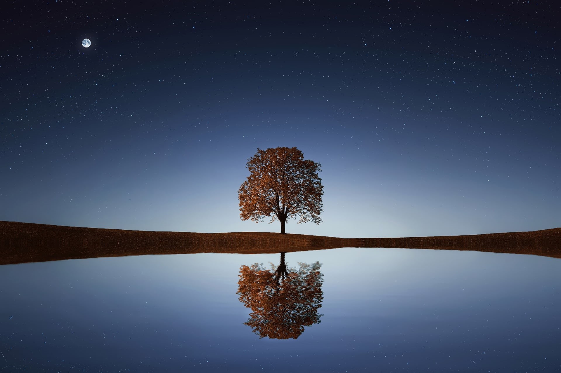 heaven, timing, symmetry, summer, lonely, beauty in nature, field, body, night, reflection, full, clear, moon, foliage, plant, sky, star - space, meadow, HD Wallpaper