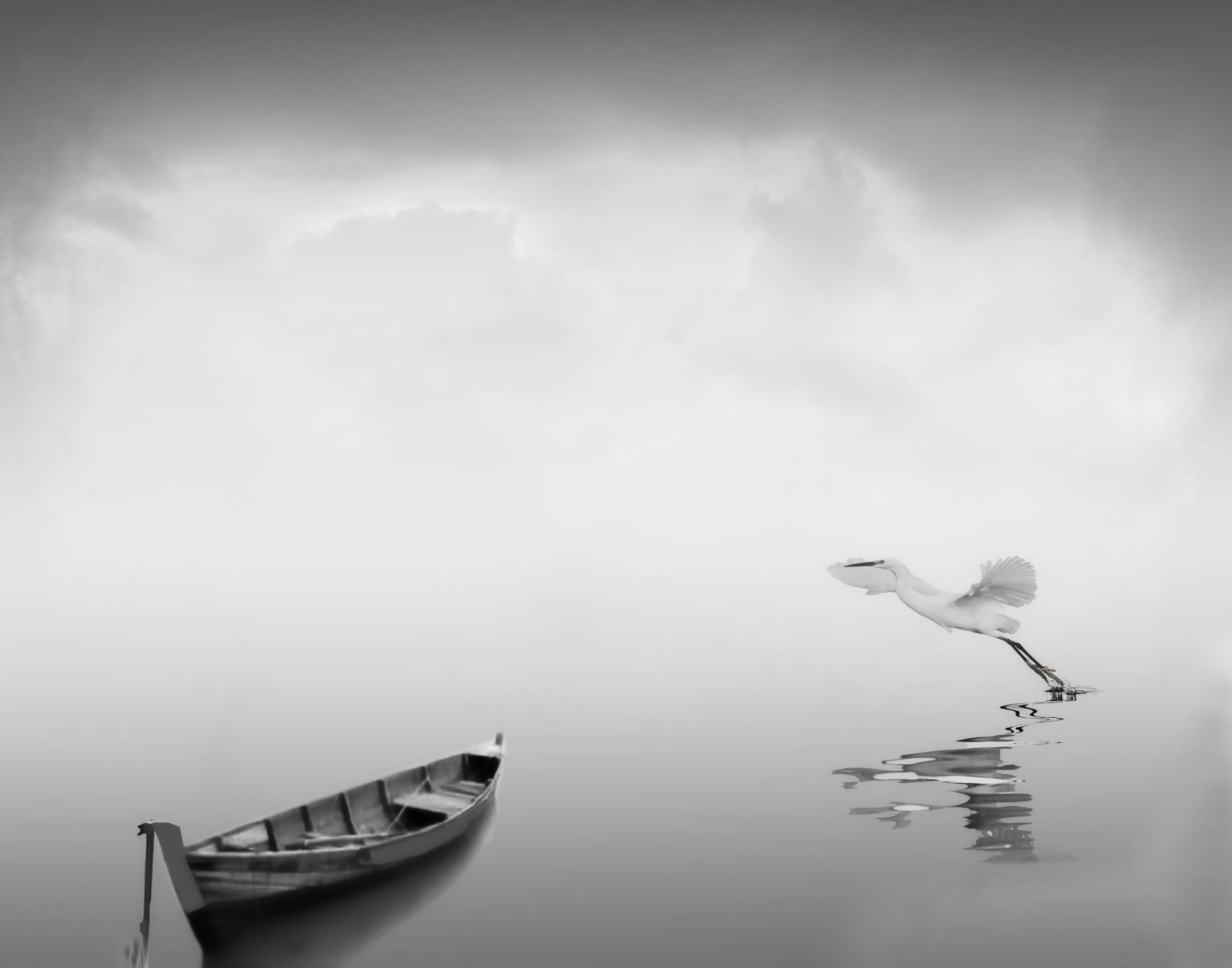 outdoors, boat, bird, Egret, body of water, White  lake, nature, depth of field, brown, John Howard, sea, zoom lens, Pond, Fly, body, 4K, outdoor, misty, HD Wallpaper