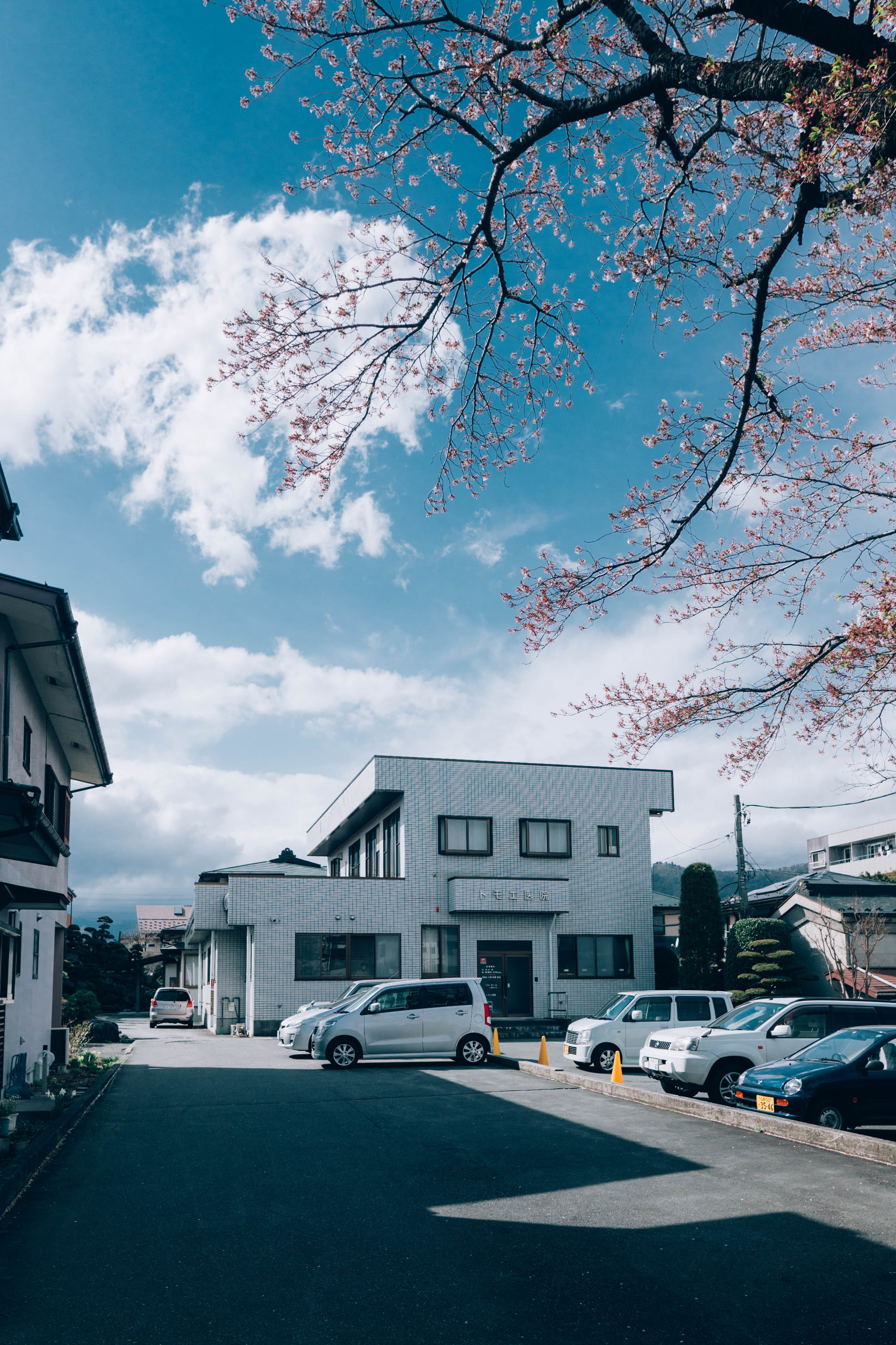 day, incidental people, house, land vehicle, blue skies, fuji, road, transportation, japan, 5K, plant, skies, sakura, blue, sky, mode of transportation, Phone HD Wallpaper