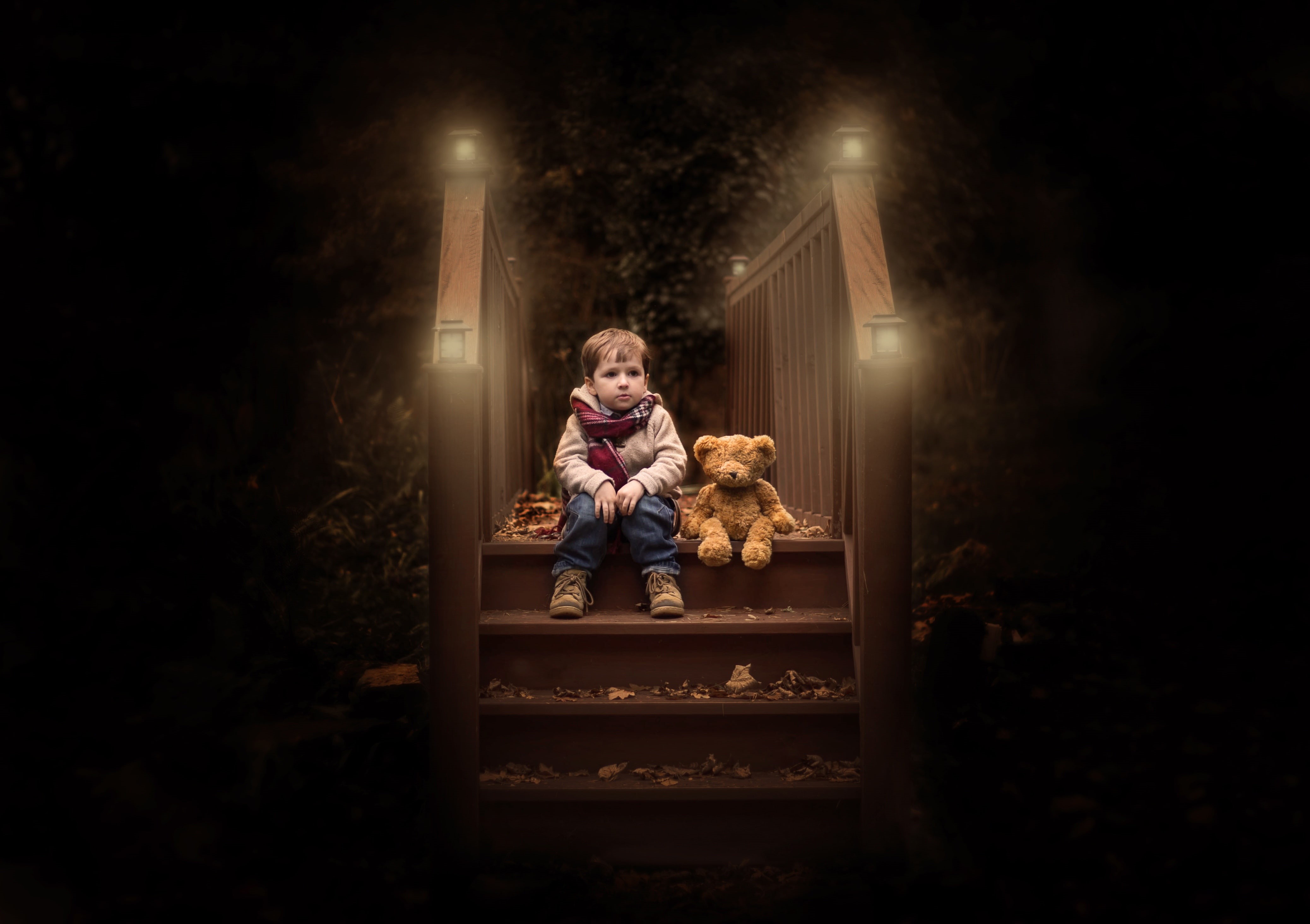4K, Teddy bear, Wood, Lights, Cute boy, Foliage, Alone, Autumn, 4K, HD Wallpaper