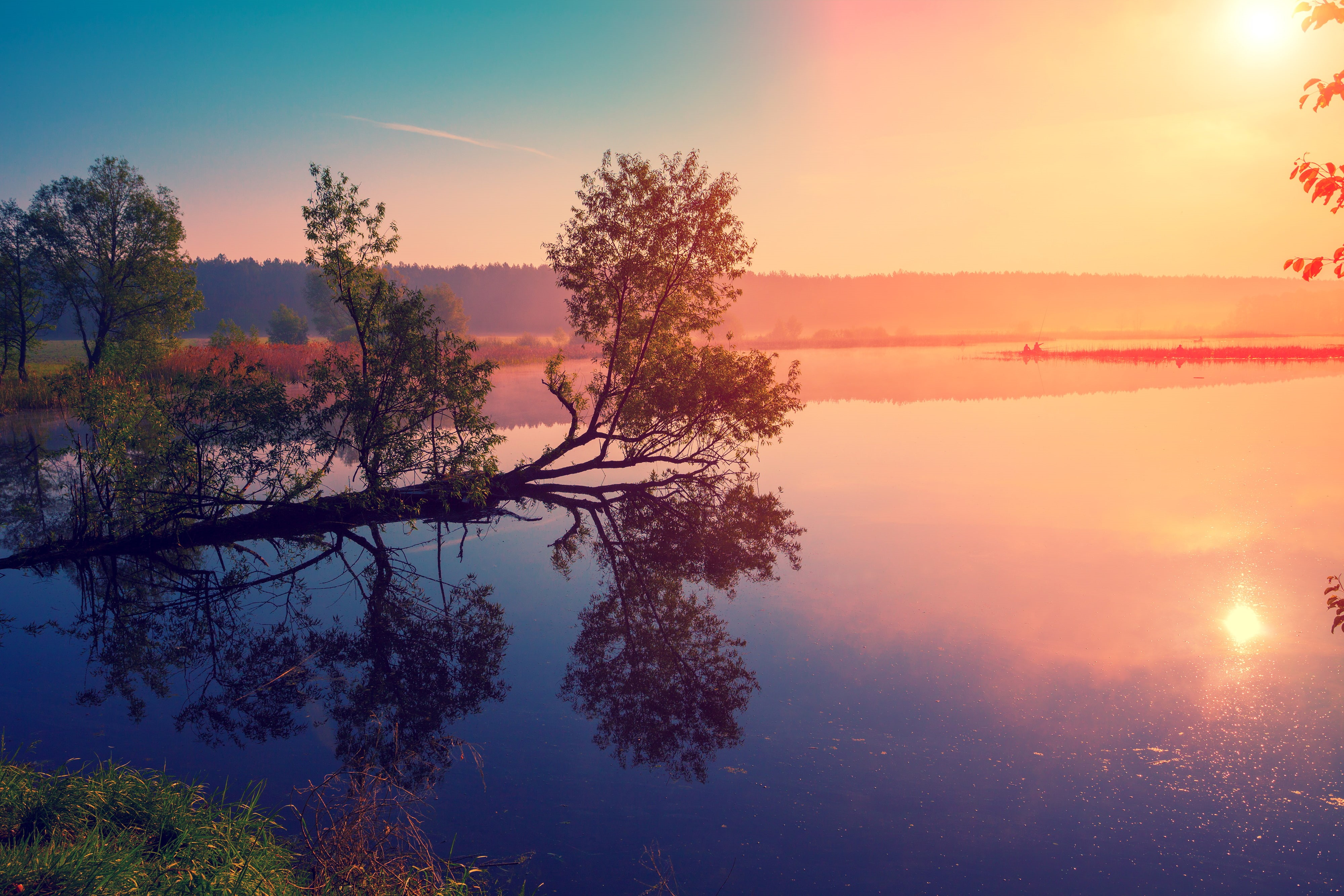scenics - nature, plant, sunset, orange color, beauty in nature, Morning, 4K, idyllic, tranquil scene, nature, non-urban scene, growth, water, 4K, tree, HD Wallpaper