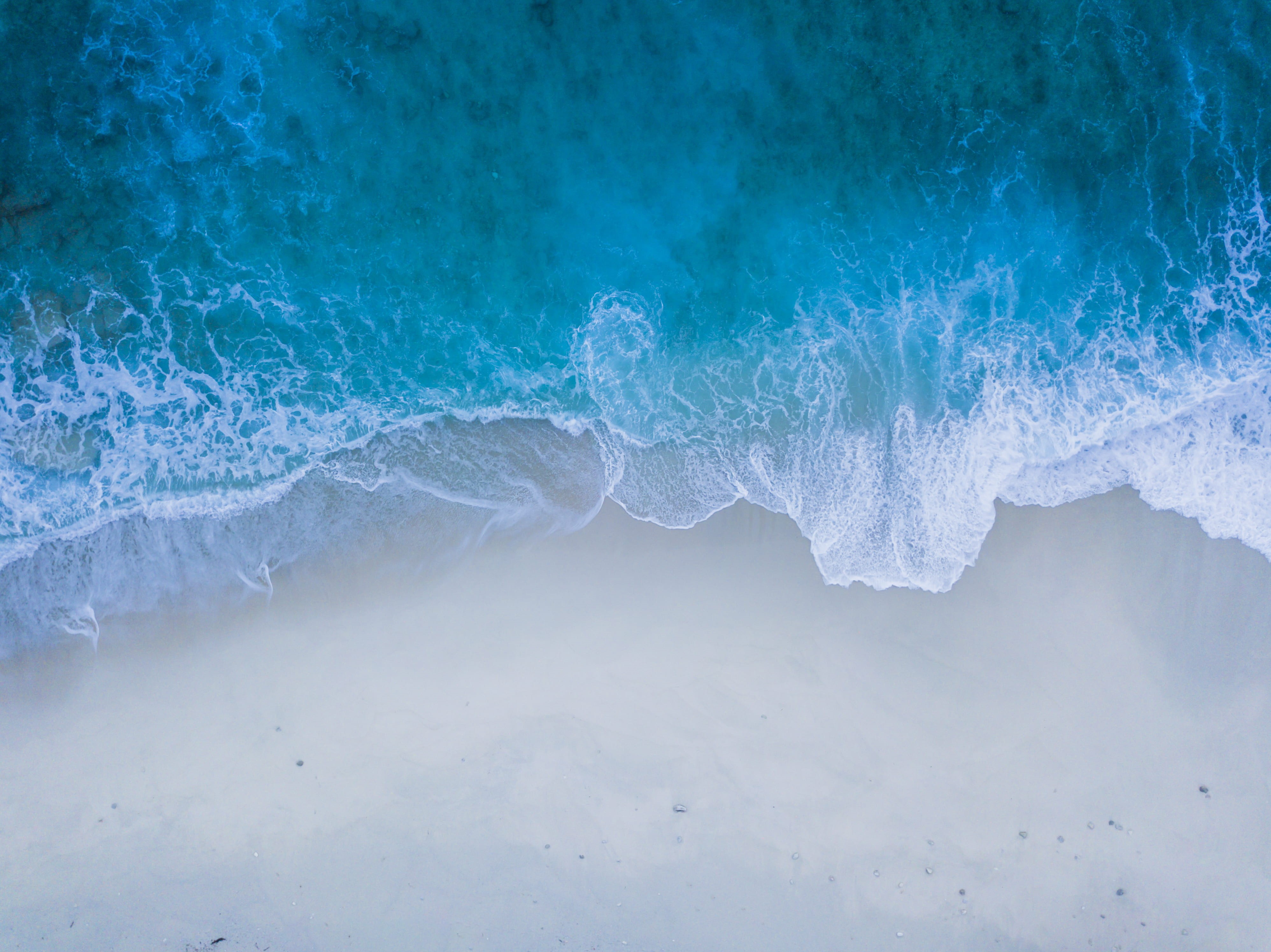 blue, cold temperature, view, shore, beach, tide, water, amazing, beach, pretty backgrounds, hd backgrounds, untitled, close-up, bird, HD Wallpaper
