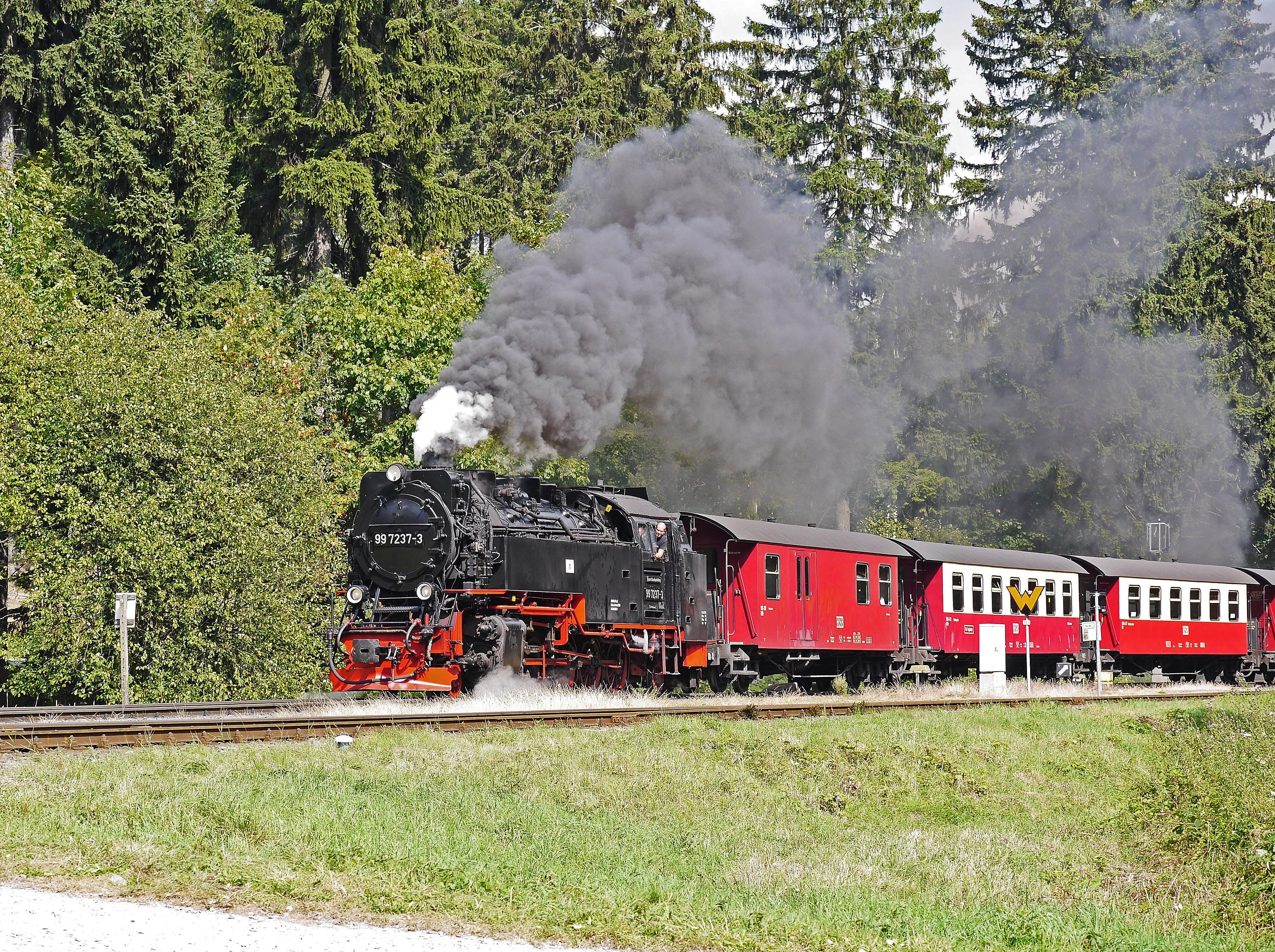mode of Transport, transportation, narrow gauge, saxony-anhalt, motion, resin, 4K, boulder, exit, tank locomotive, mode of transportation, tourism, meter track, HD Wallpaper