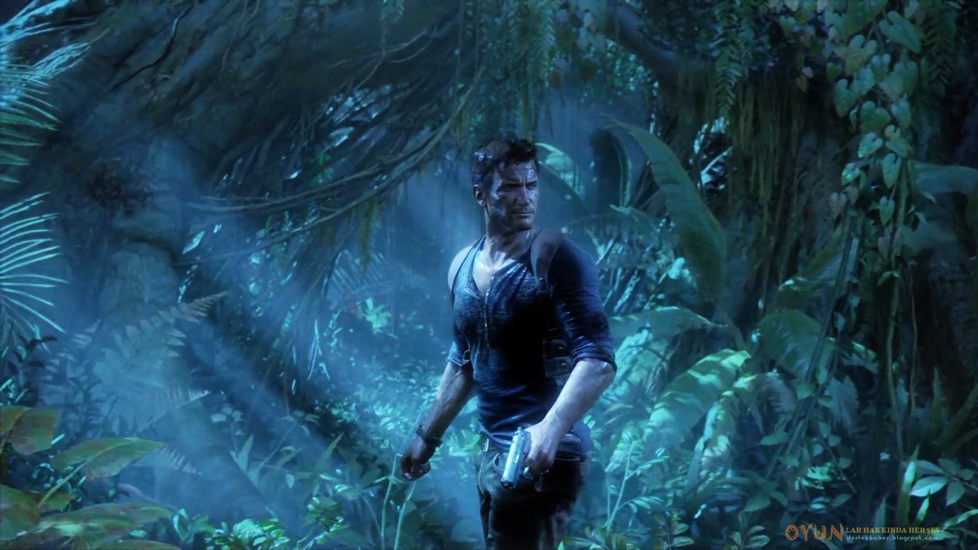 tree, video games, animals in the wild, Nathan Drake, water, still, tank, underwater, digital composite, three quarter length, swimming, adult, standing, HD Wallpaper