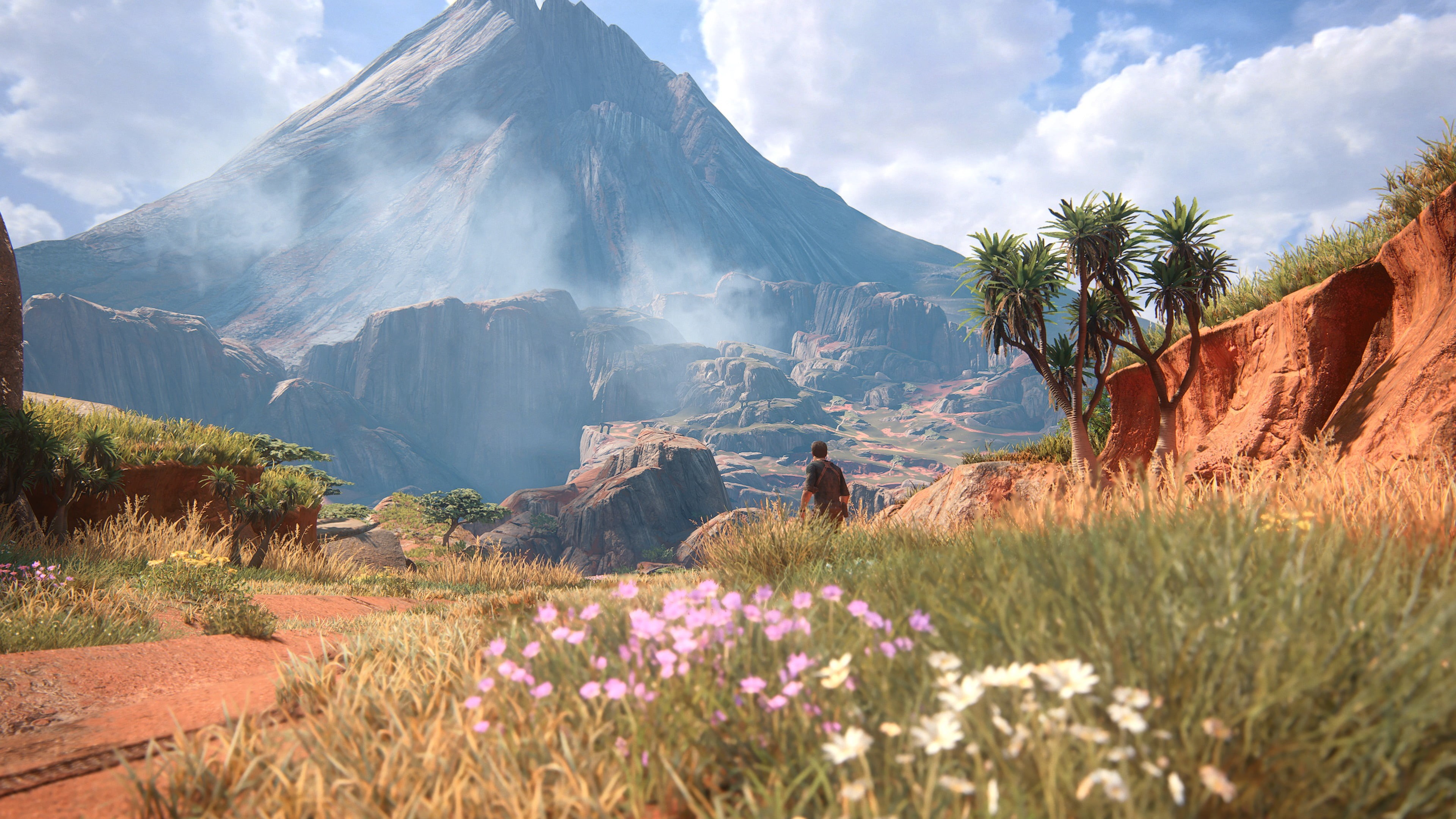 PlayStation 4, mountain, non-urban scene, flower, tranquility, grass, mountain peak, tree, Uncharted 4: A Thiefs End, landscape, travel destinations, environment, HD Wallpaper