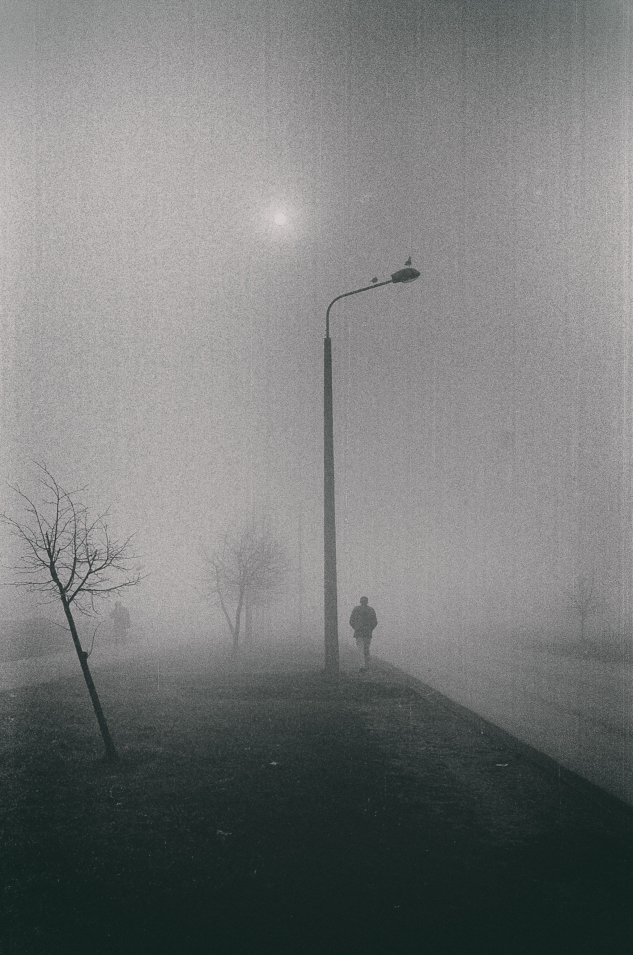 street light, winter, black, dusk, day, person, landscape, cold temperature, fall, old, white, field, silhouettes, cold, contrast, sorrow, imagination, Phone HD Wallpaper