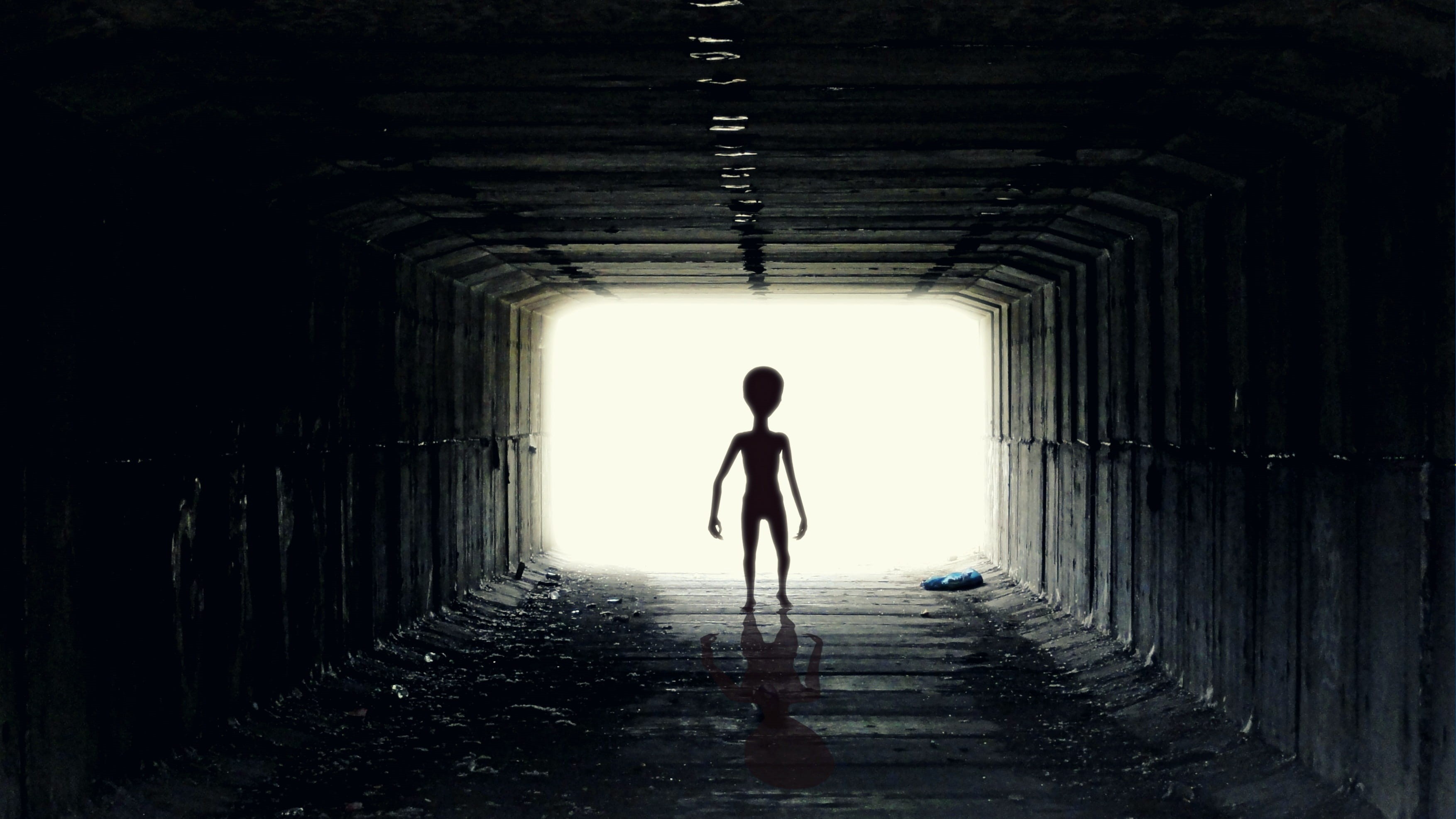 ufoludek, rear view, indoors, light, direction, humanoid, comer, alien, standing, women, day, stranger, built structure, walking, one Person, walking on, HD Wallpaper