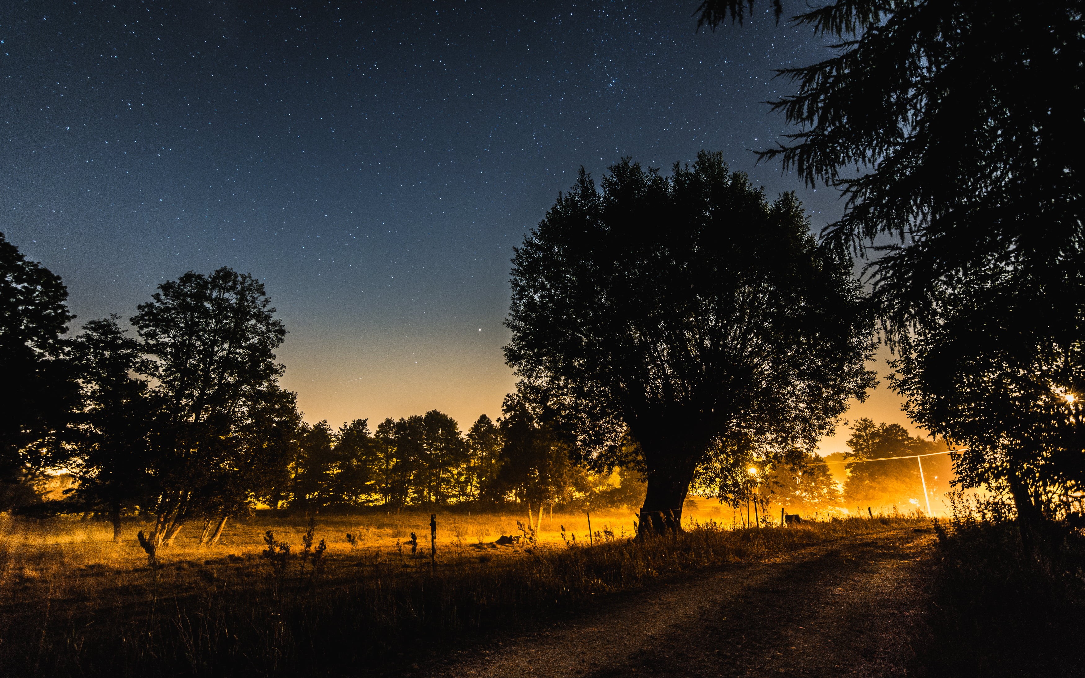 sky, tree, tree  yellow, grass, poland, nature, after dark, astronomy, dark  field, outdoors, d7100, nikon, night sky, star - Space, long exposure, landscape, HD Wallpaper