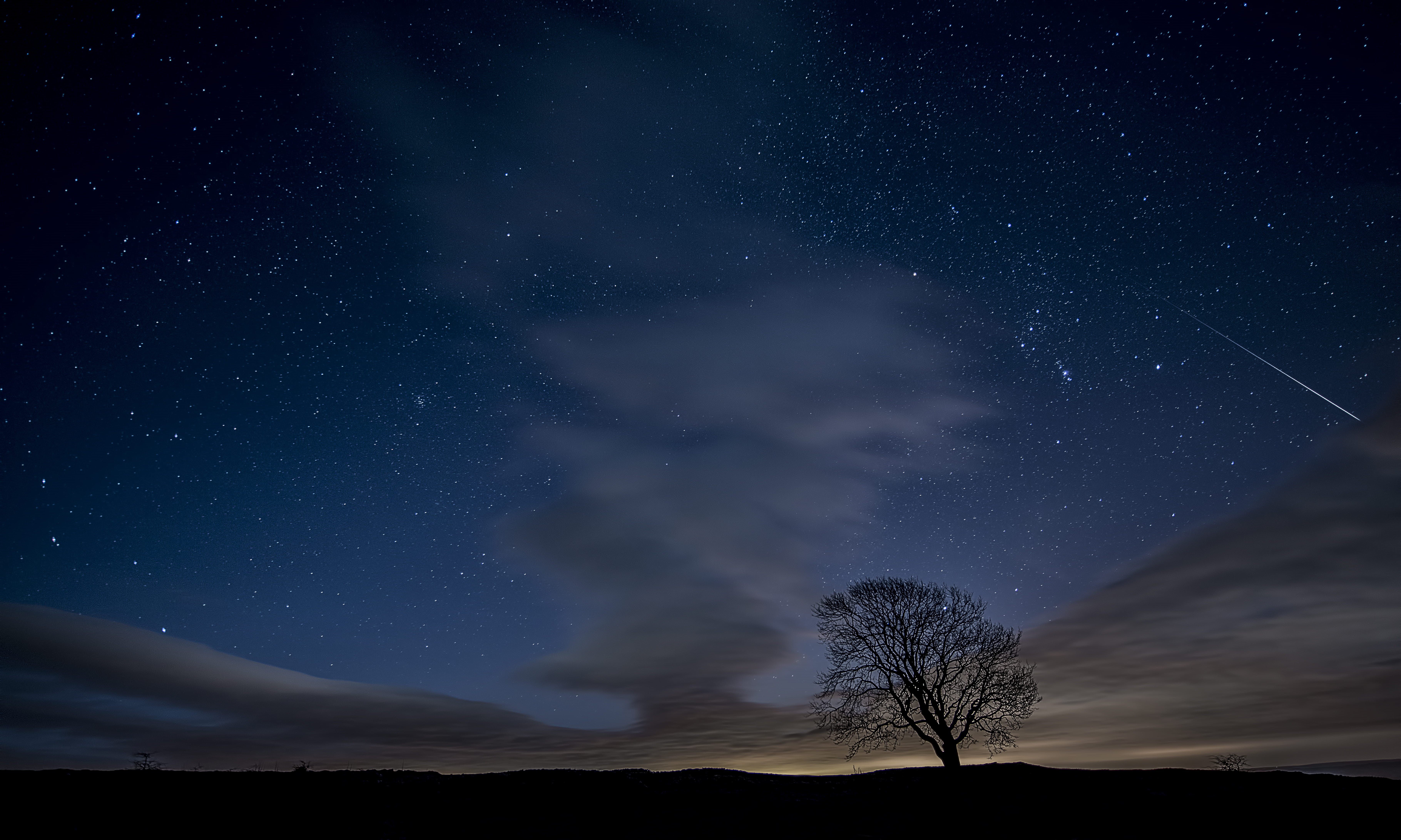 star - Space, nature, space, outdoors, sky, idyllic, night, low angle view, tranquility, plant, blue night, bare, constellation, bare tree, silhouette, HD Wallpaper
