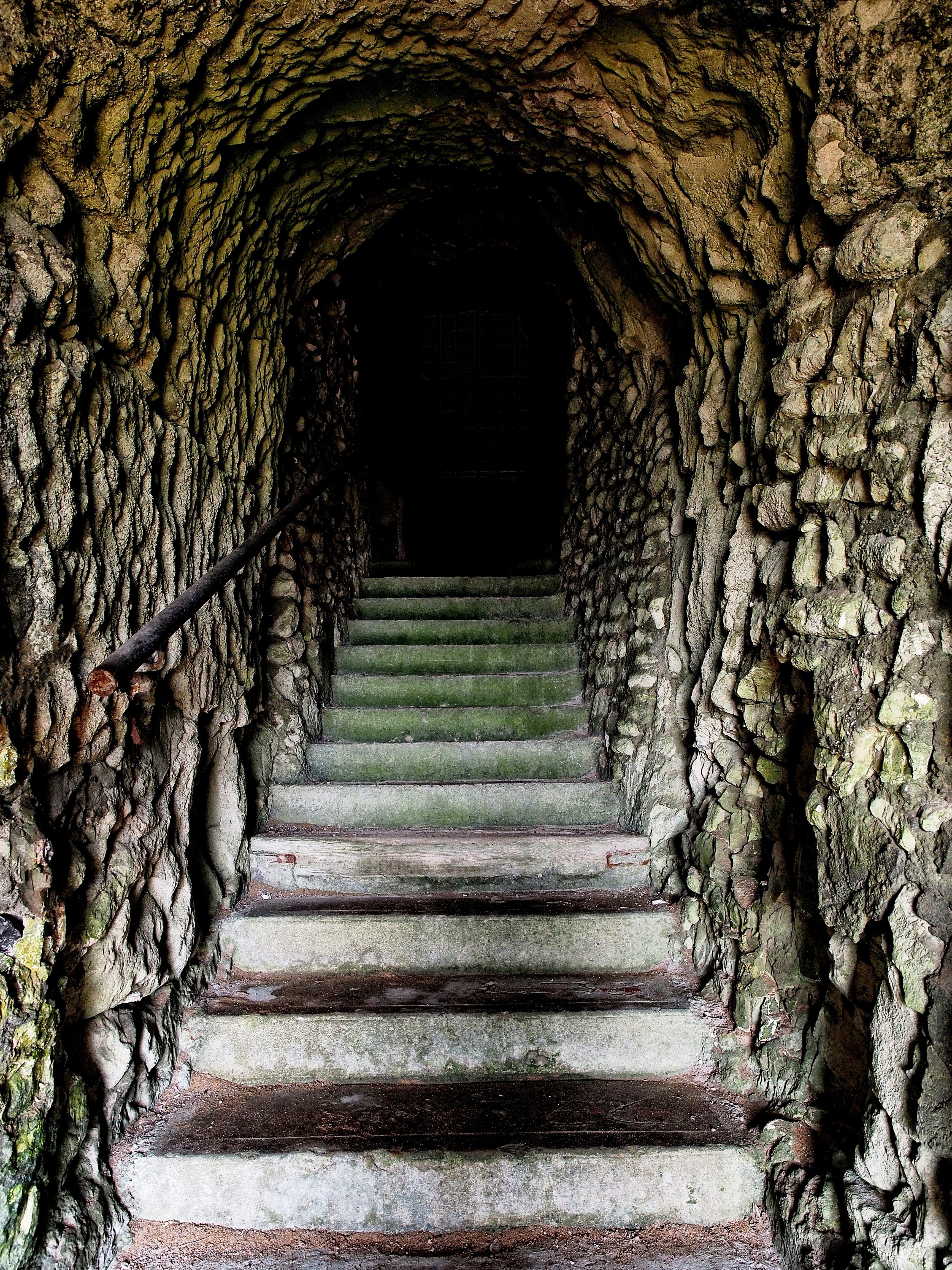 plant, concrete, cave, arch, passage, stone, building, solid, outdoors, direction, history, spelunking, diminishing perspective, up, entrance, underworld, Phone HD Wallpaper