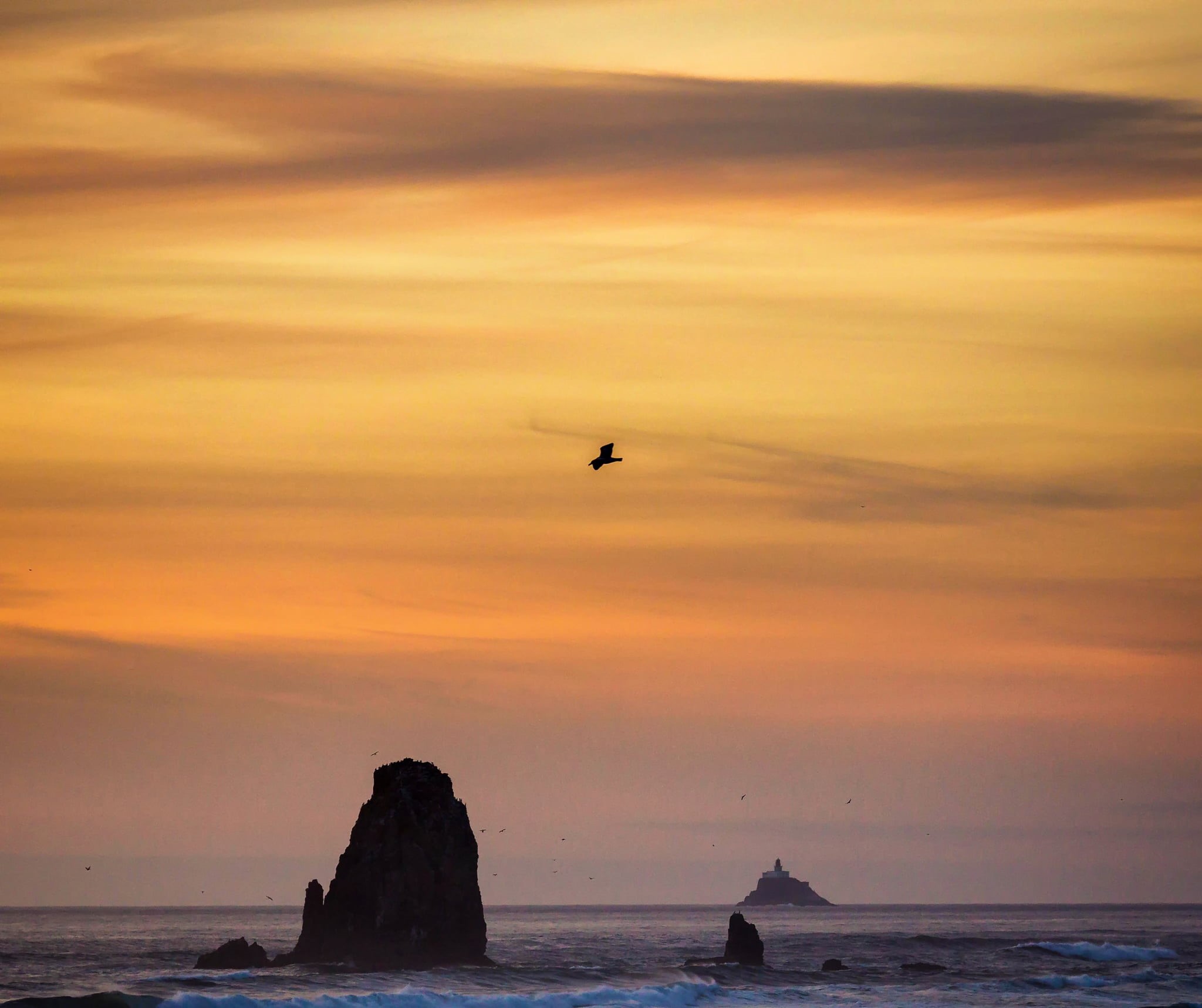 4L, Oregon Coast, Canon EF, waving, Canon EF 70-200mm, wave, Seagull, nature, formation, Dusk, Tillamook Rock Light, Sunset, rock formation, United States, HD Wallpaper