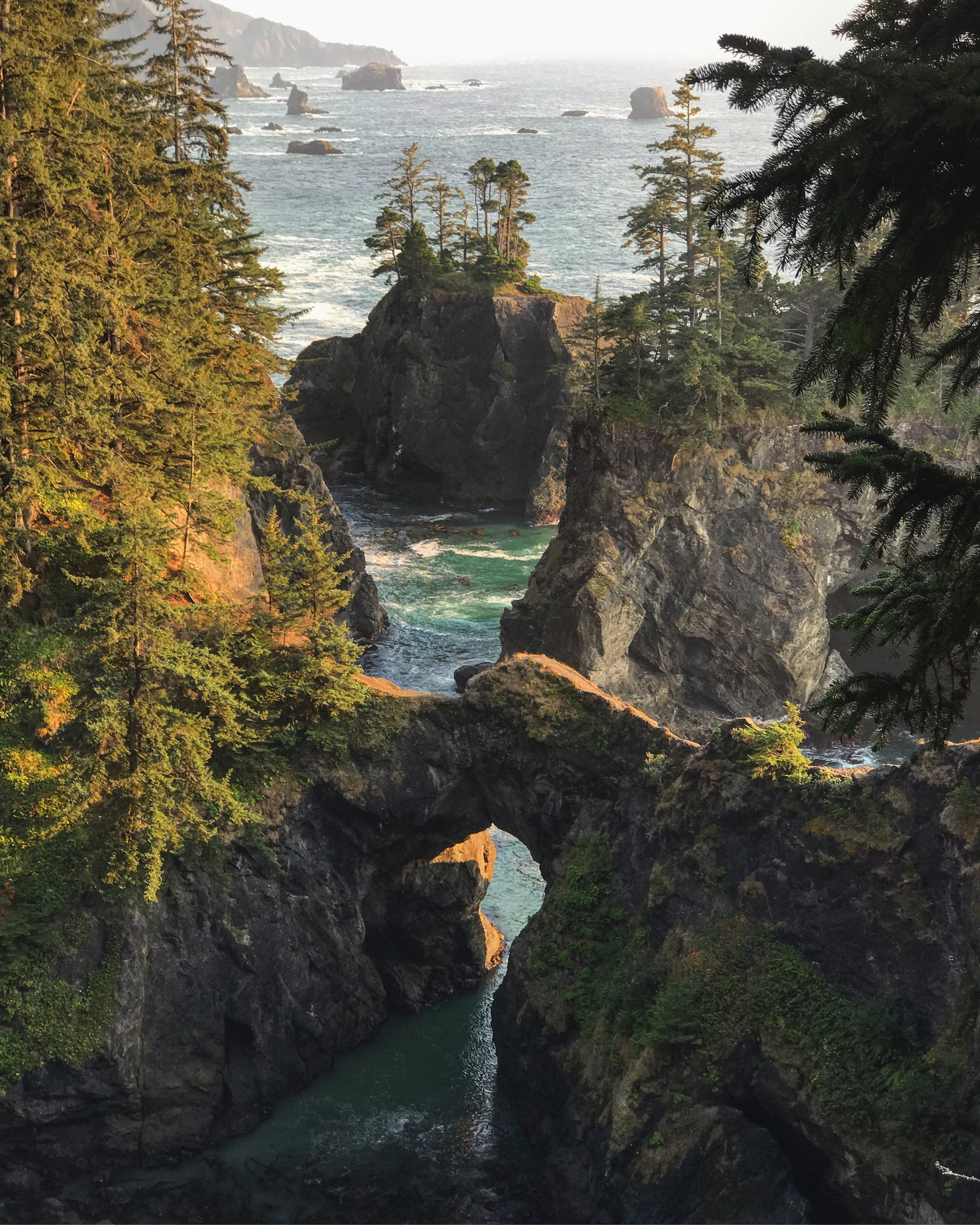 motion, waves, plant, travel, shore, environment, water, oregon, tranquility, waterfall, cliff, trees, flowing, pacific, nature, pacific northwest, beach, Phone HD Wallpaper