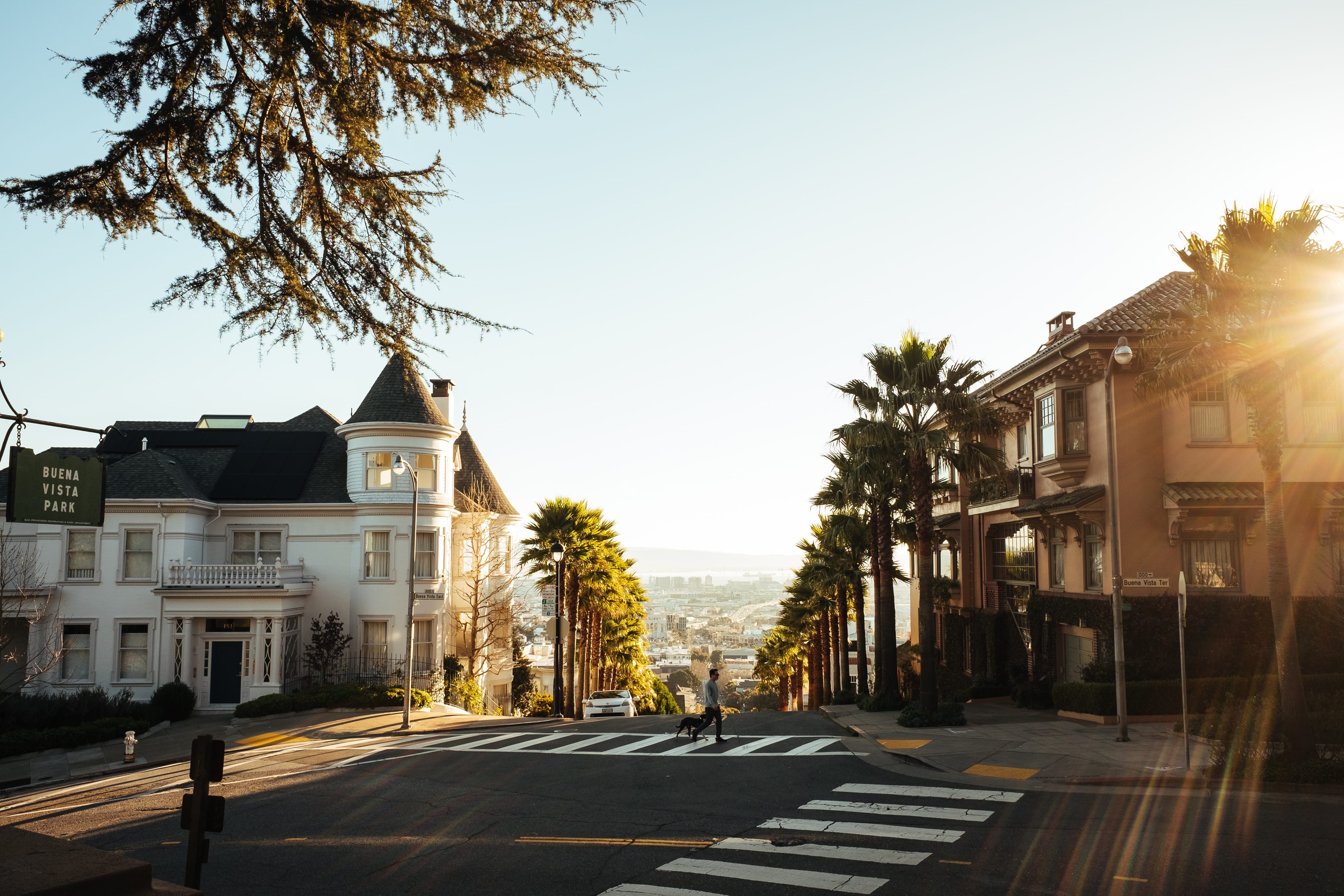 nature, marking, houses, america, building, san francisco, walking, sign, clear sky, pedestrian, near, usa, photo, yellow, sunset, 4K, sunrise, trees, HD Wallpaper