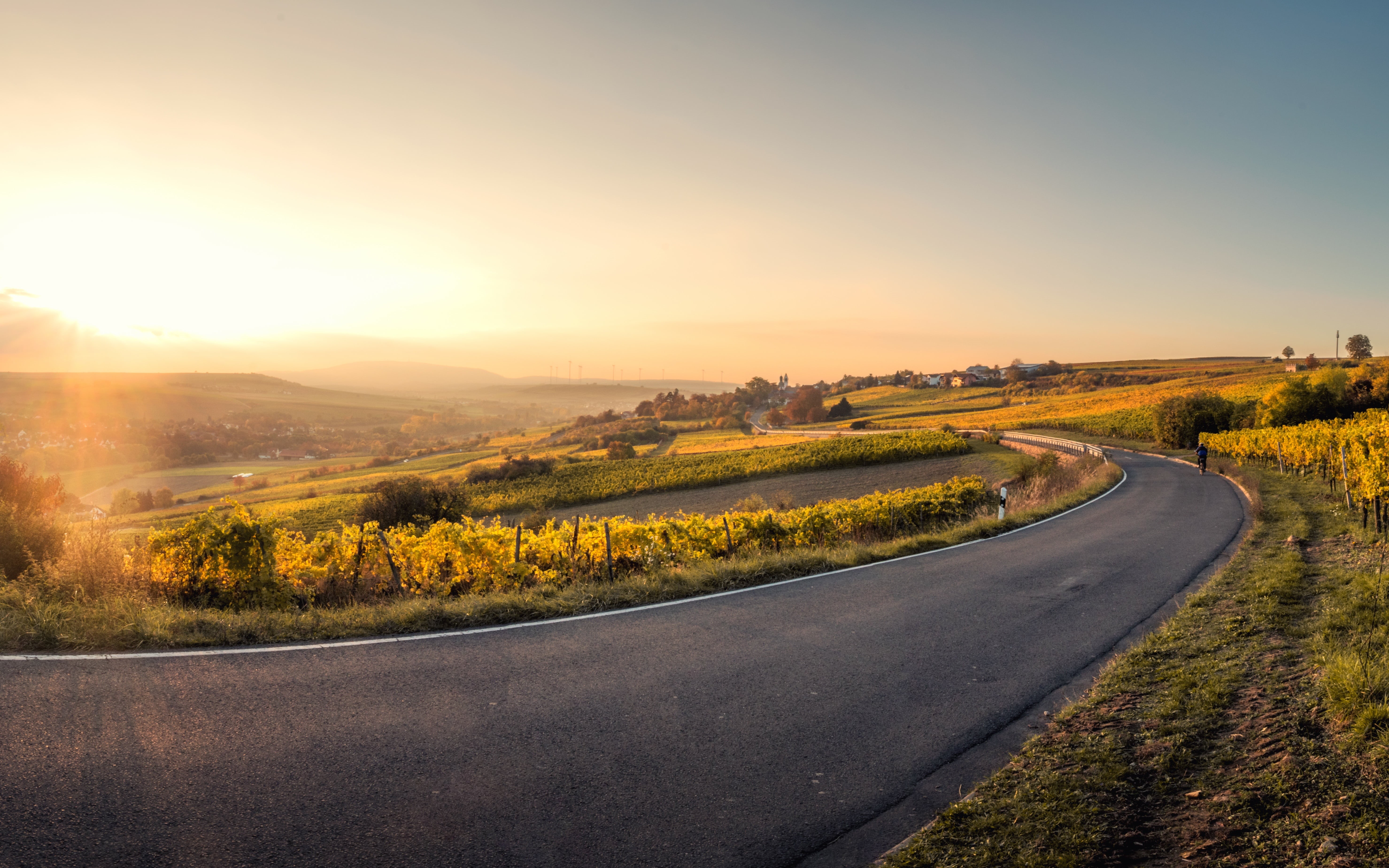 country road, land, curve, outdoor, near, beauty in nature, winding road, scenics - nature, transportation, plant, sunset, 5K, grass, green, landscape, HD Wallpaper