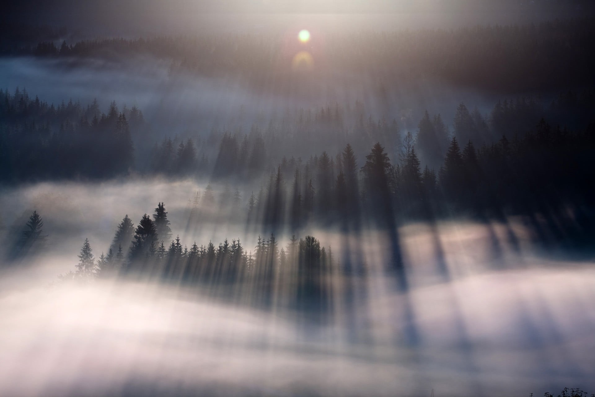 environment, tranquility, tranquil scene, 1080P, forest, scenics - nature, outdoors, nature, woodland, lens flare, sun, sky, land, trees, non-urban scene, HD Wallpaper