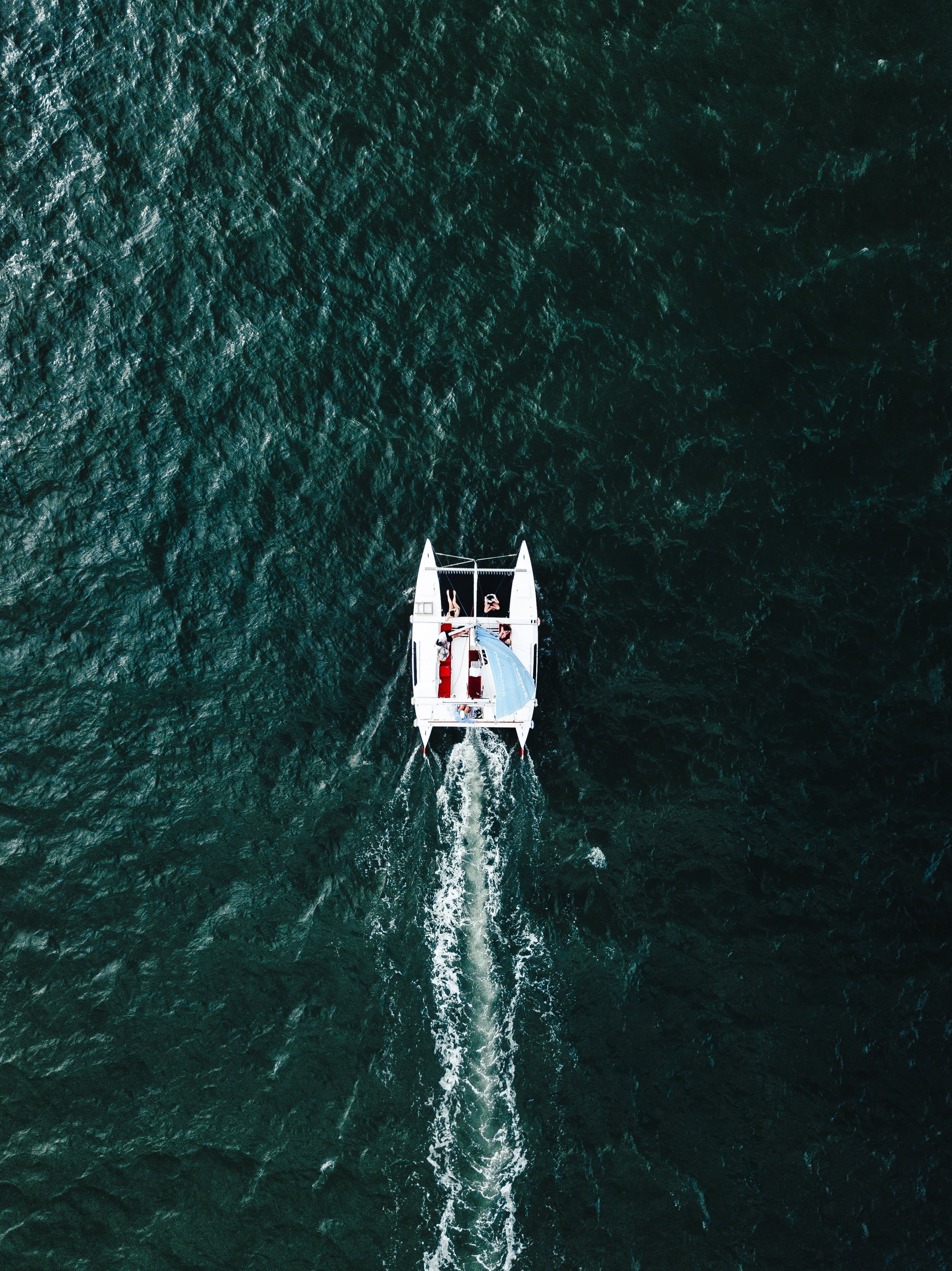 beauty in nature, transportation, white, 4K, nautical vessel, turquoise colored, mode of transportation, wave pattern, ocean, day, motion, catamaran, water, Phone HD Wallpaper