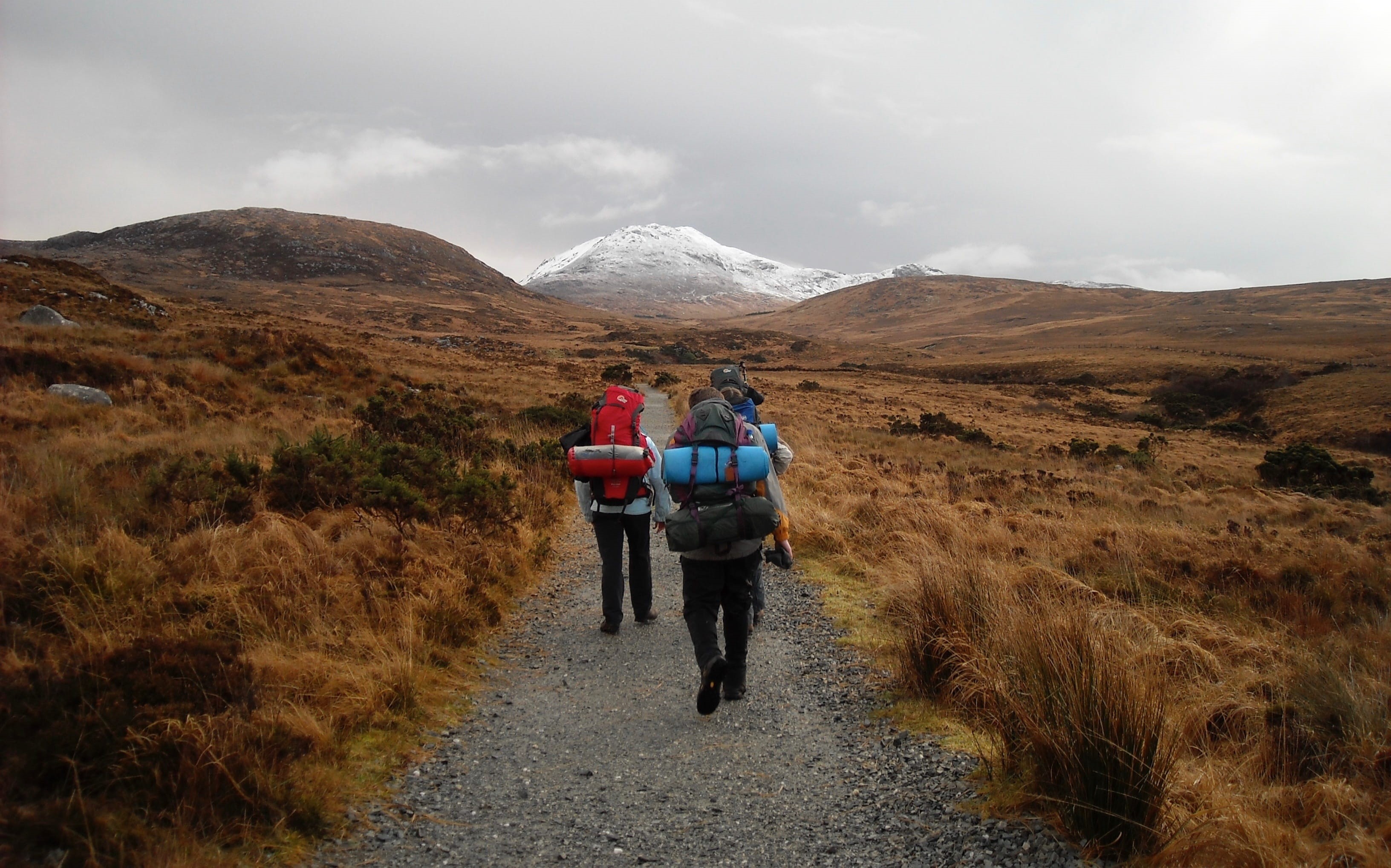 rear view, path, explorer, walking, people, adult, activity, leisure activity, ireland, mountain range, leisure, wanderlust, holiday, tourism, togetherness, HD Wallpaper