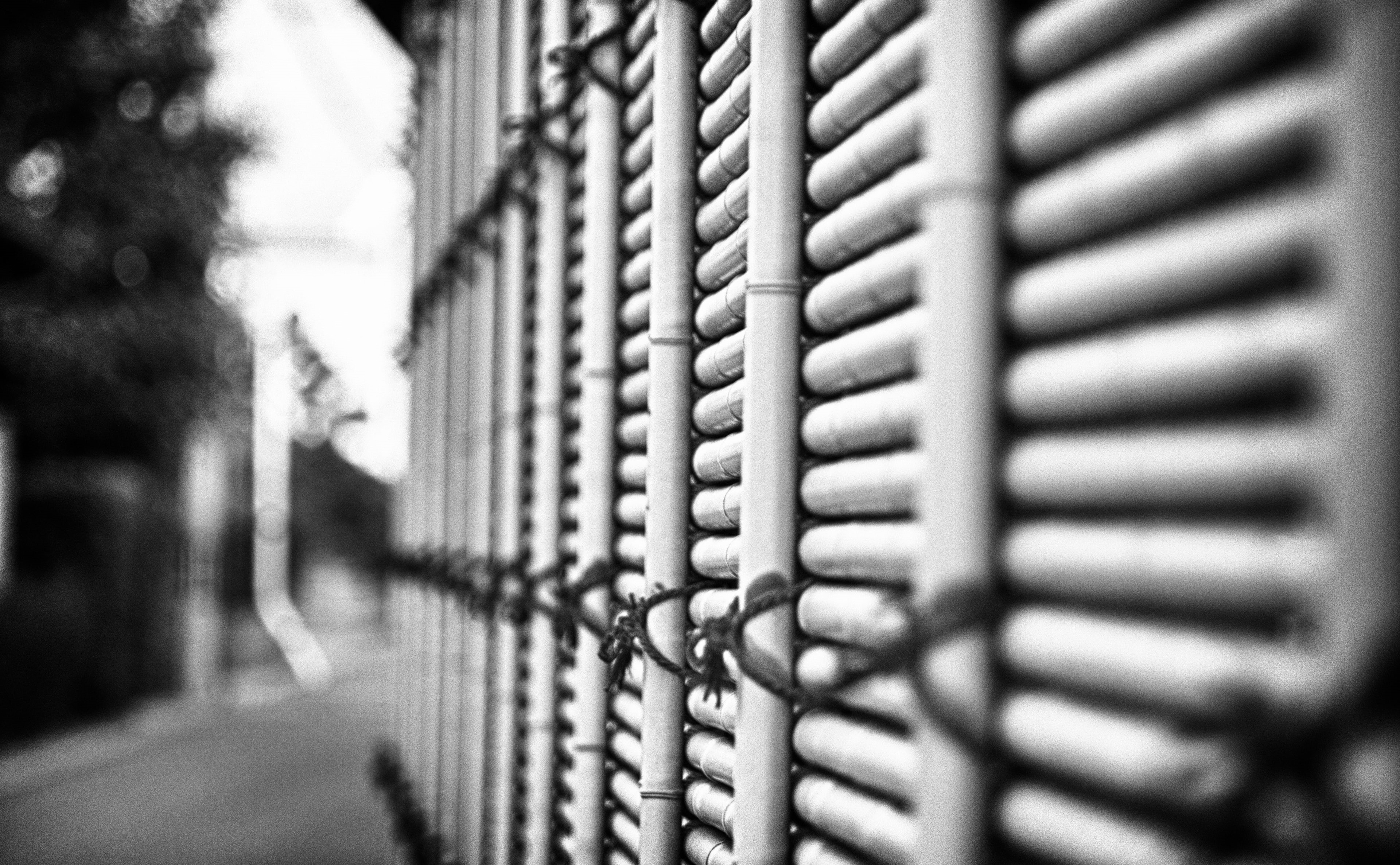 connection, Chubu, protection, Aichi, park, close-up, outdoor play equipment, Photography, rod, fence, no people, bamboo, 4K, strength, Honshu, in a row, HD Wallpaper