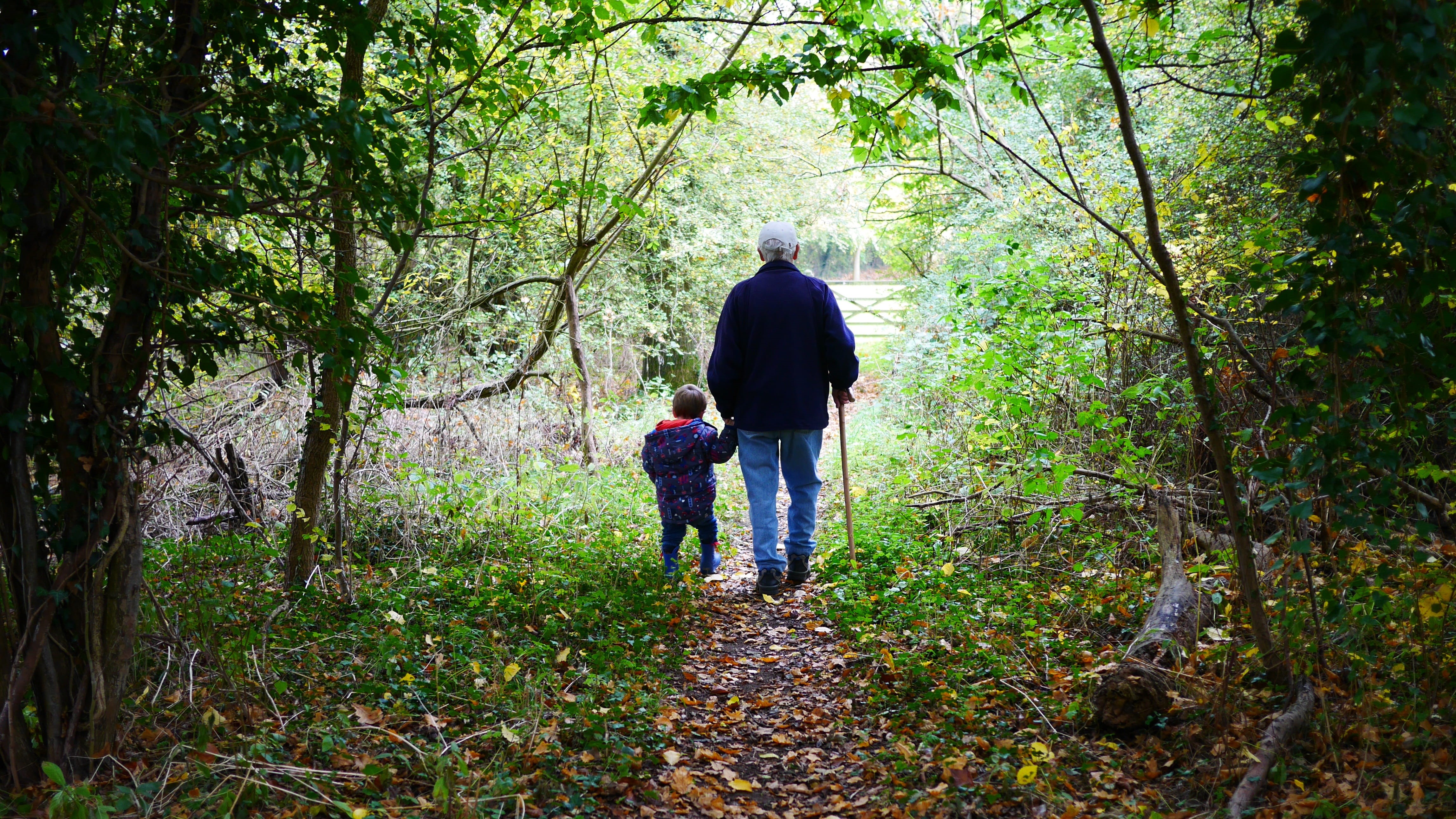 grandparents, 4K, plant, full length, lifestyles, two people, leisure activity, man, daughter, woods, outdoors, togetherness, dirty, walking, grandson, HD Wallpaper