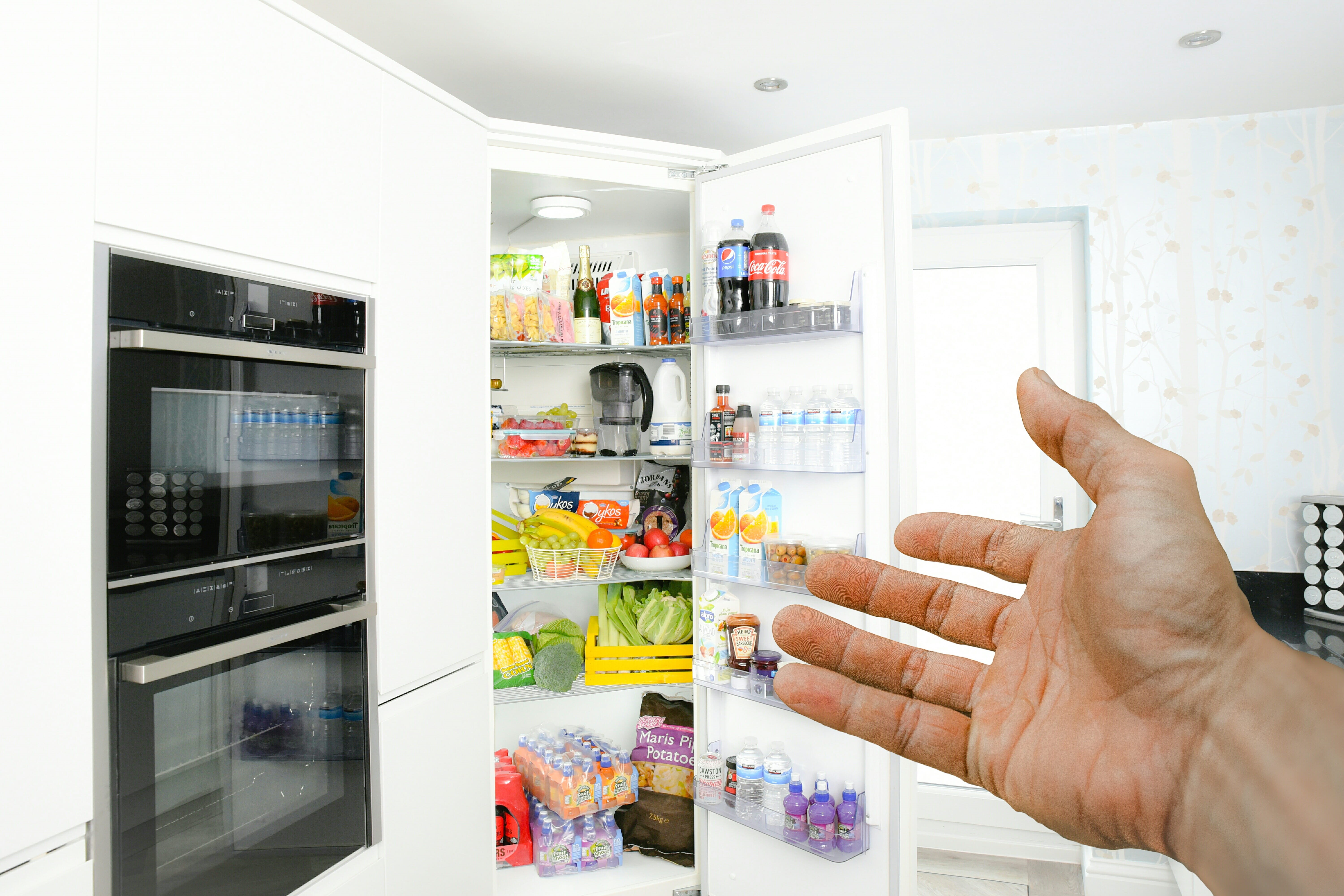 shelf, household equipment, choice, open, chilled, photo, human body part, hand, illustration, pointing, human hand, choosing, container, door, indoors, HD Wallpaper