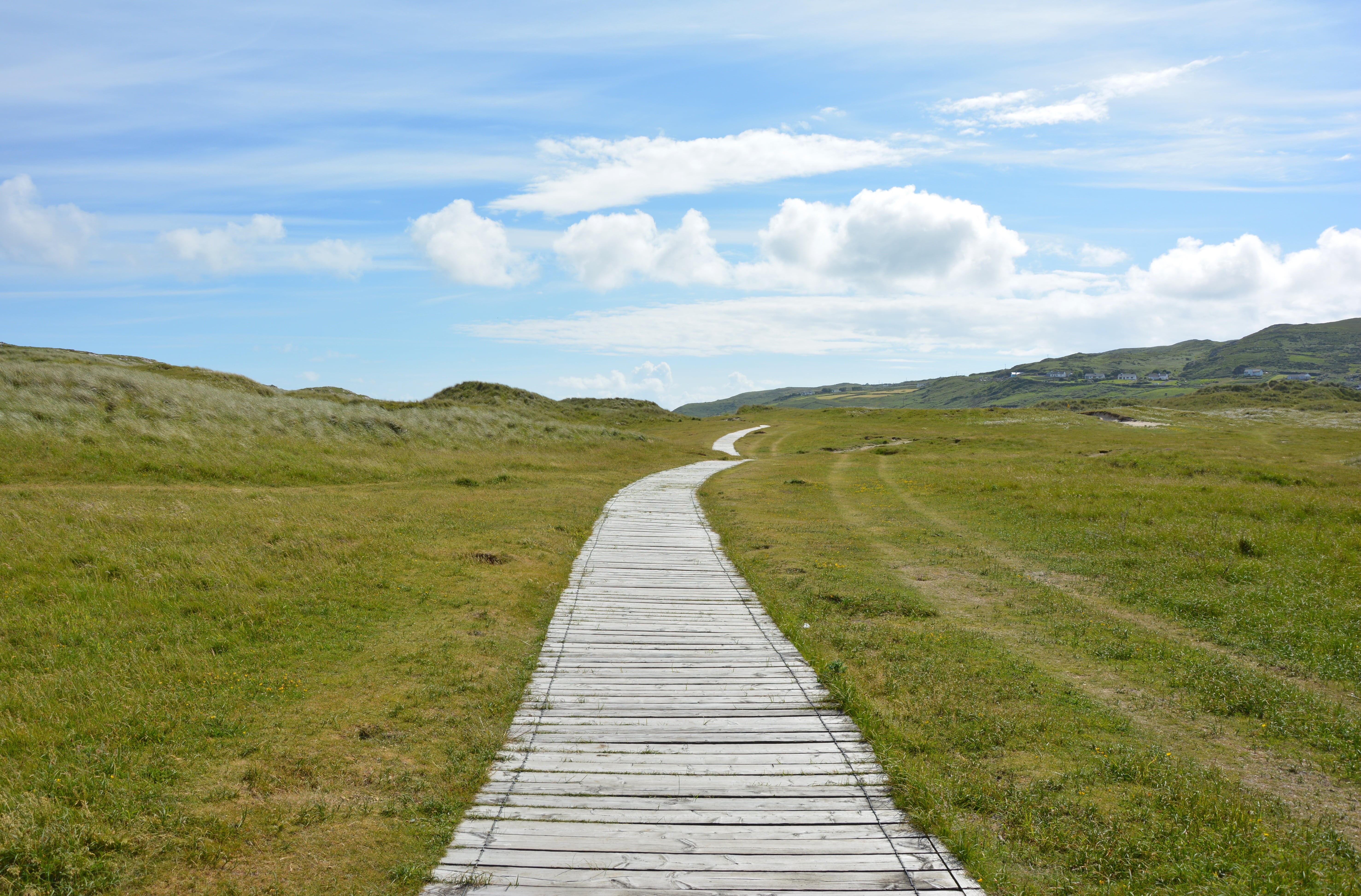 the way forward, nature reserve, sky, green, plant, nature, summer, 5K, green color, no people, cloud - Sky, road, planks, scenics, beauty in nature, diminishing perspective, HD Wallpaper
