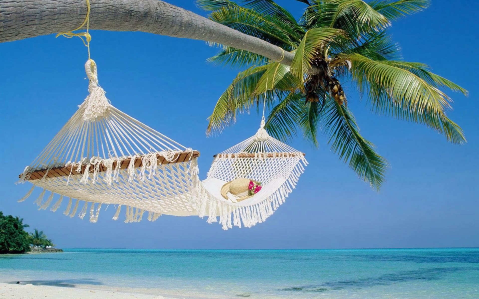 place, 1080P, hammock, beach, summer, white, relax, HD Wallpaper