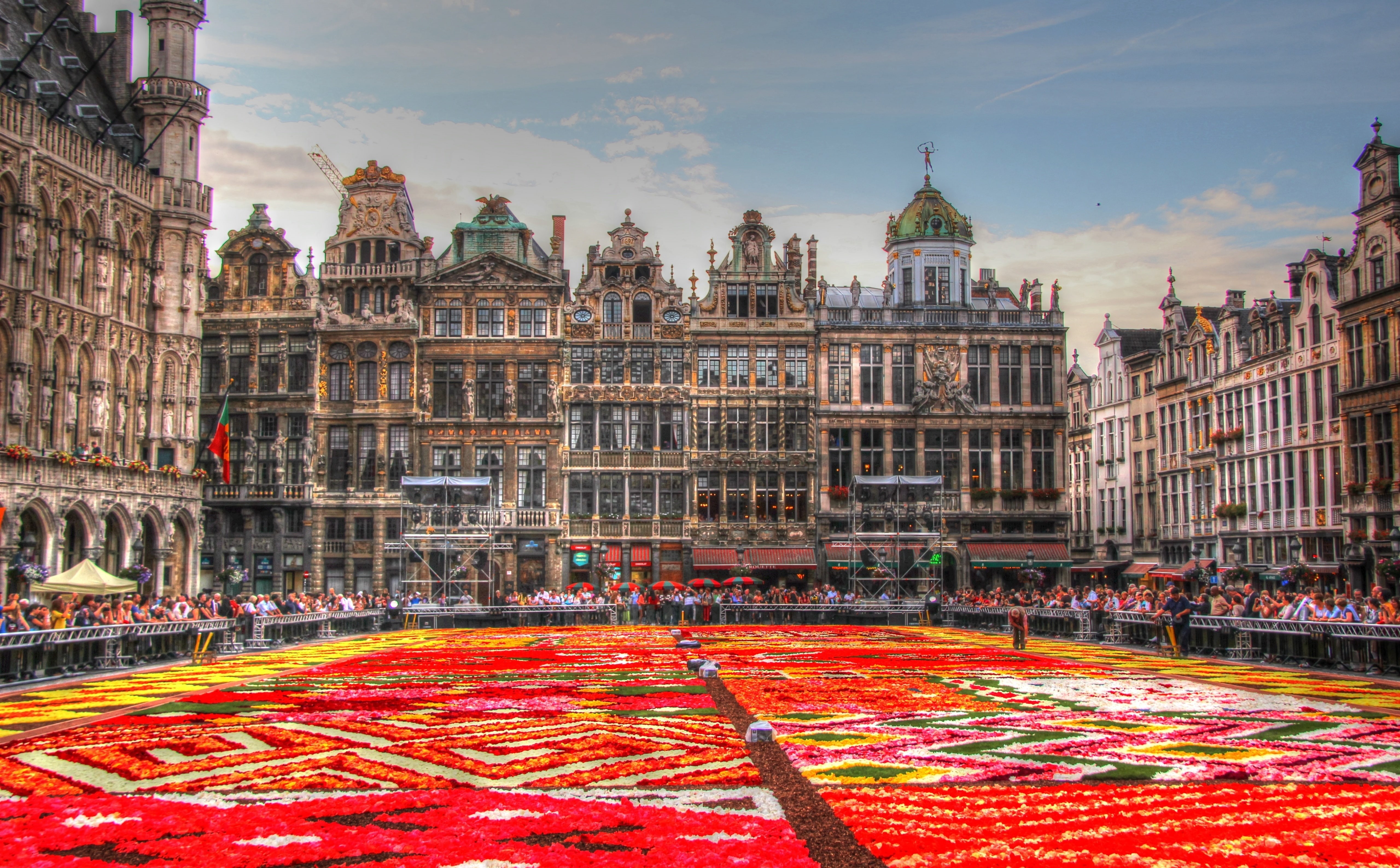 Ponte, nature, city, pldebrouckere, travel destinations, belgie, building exterior, belgien, town square, bruxelles, tapisdefleurs, brussel, markt, incidental people, HD Wallpaper