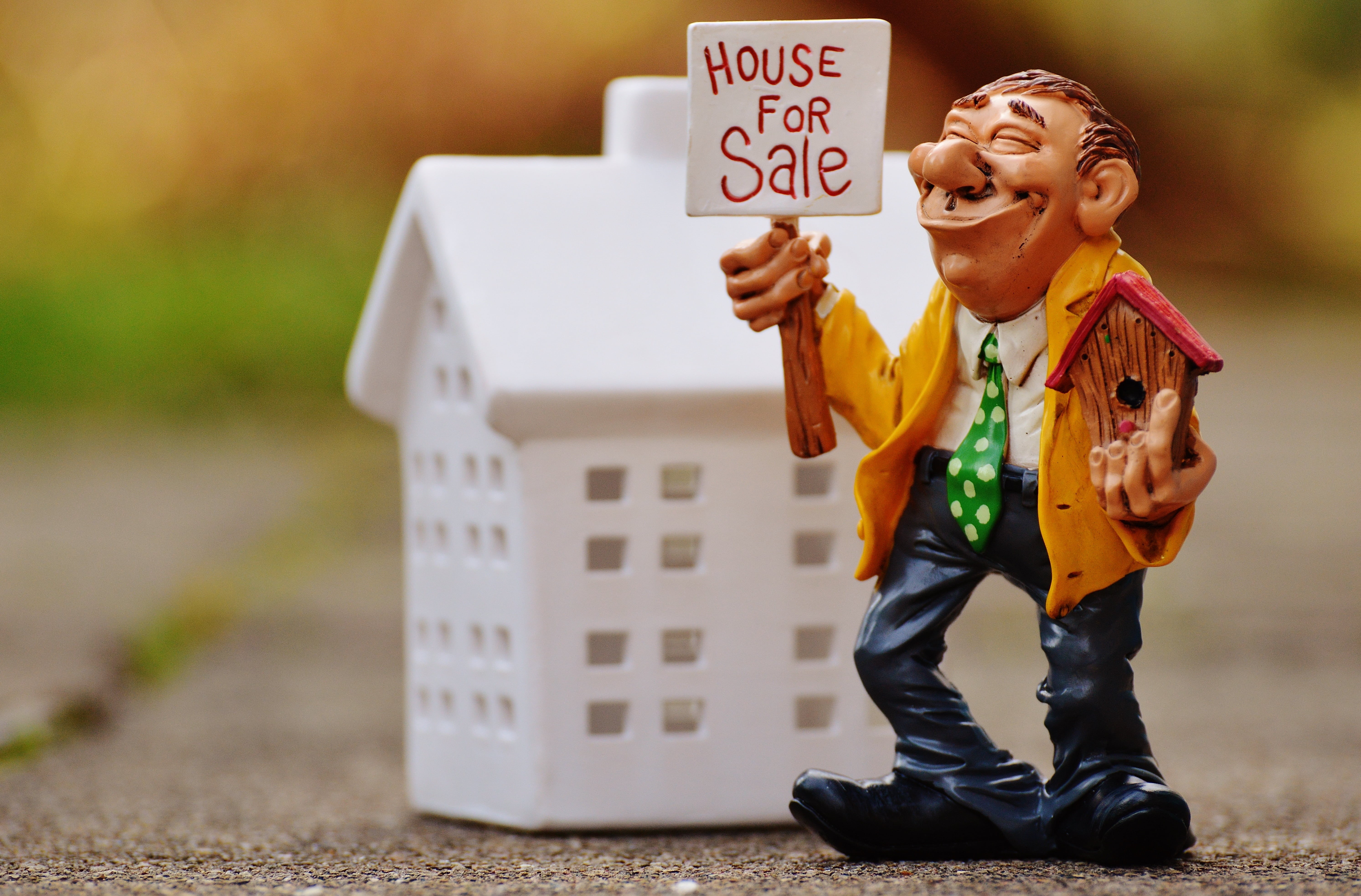 house, childhood, small, cheerful, sell, commitment, positive emotion, males, aviary, profession, men, service, communication, offspring, outdoors, figure, HD Wallpaper
