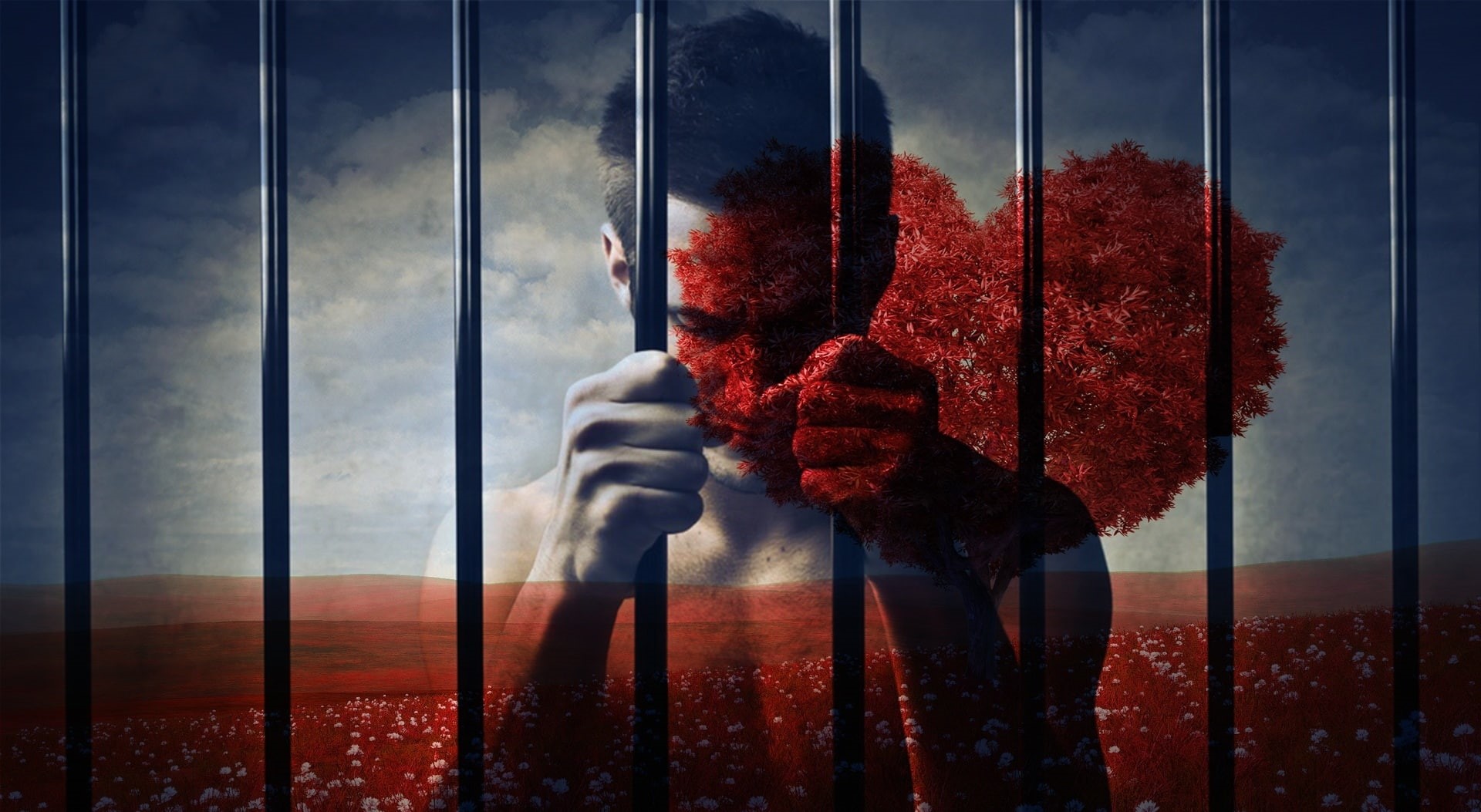 man, tree, window, nature, sky, reflection, casual clothing, leisure activity, red, digital composite, sadness, women, sad, glass - material, outdoors, HD Wallpaper