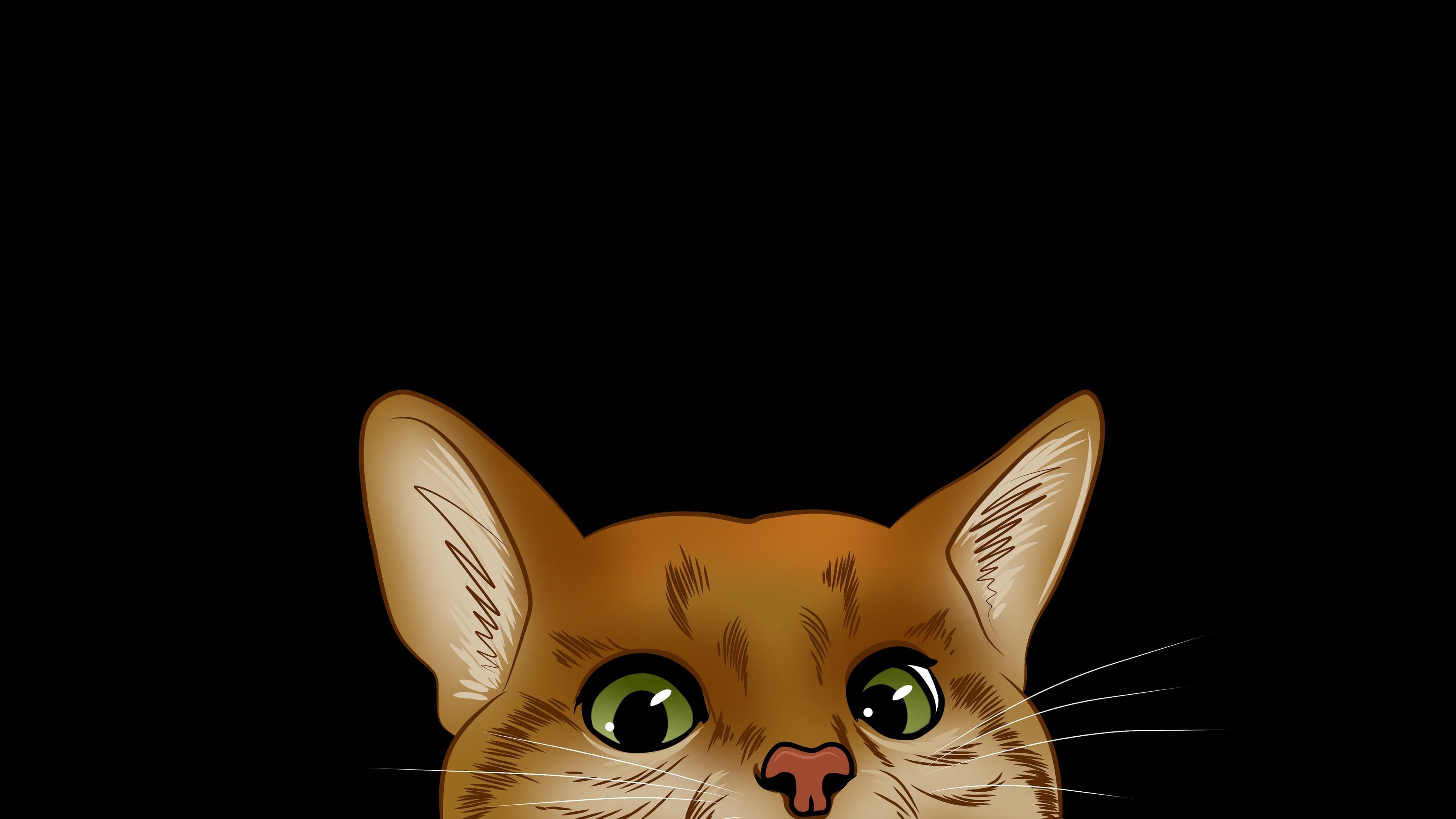 peek, cat, peep, peeping, kitten, peeking, green eyes, whiskers, cartoon, 4K, HD Wallpaper