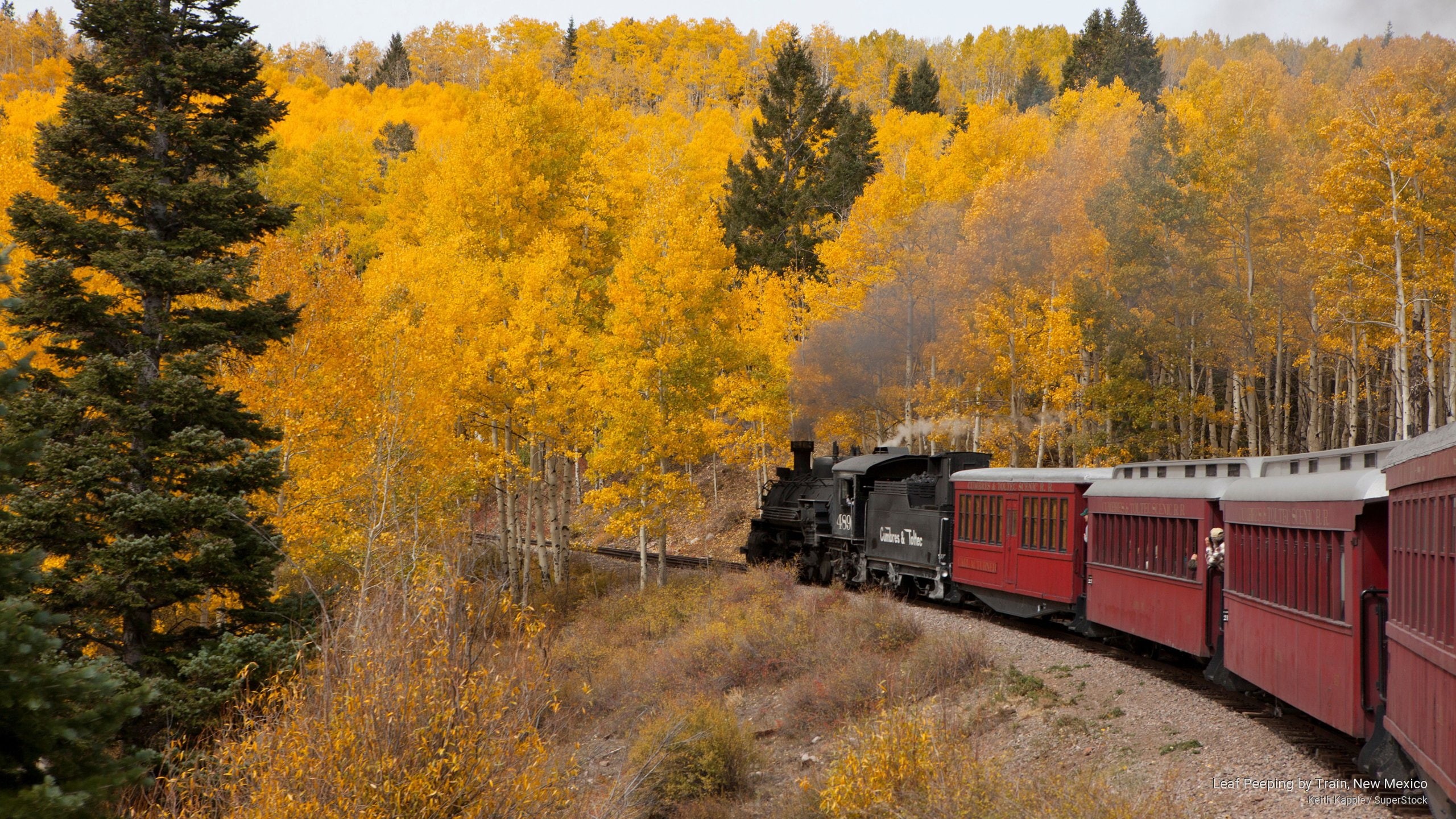 2K, leaf, mexico, new, peeping, train, Transportation, HD Wallpaper