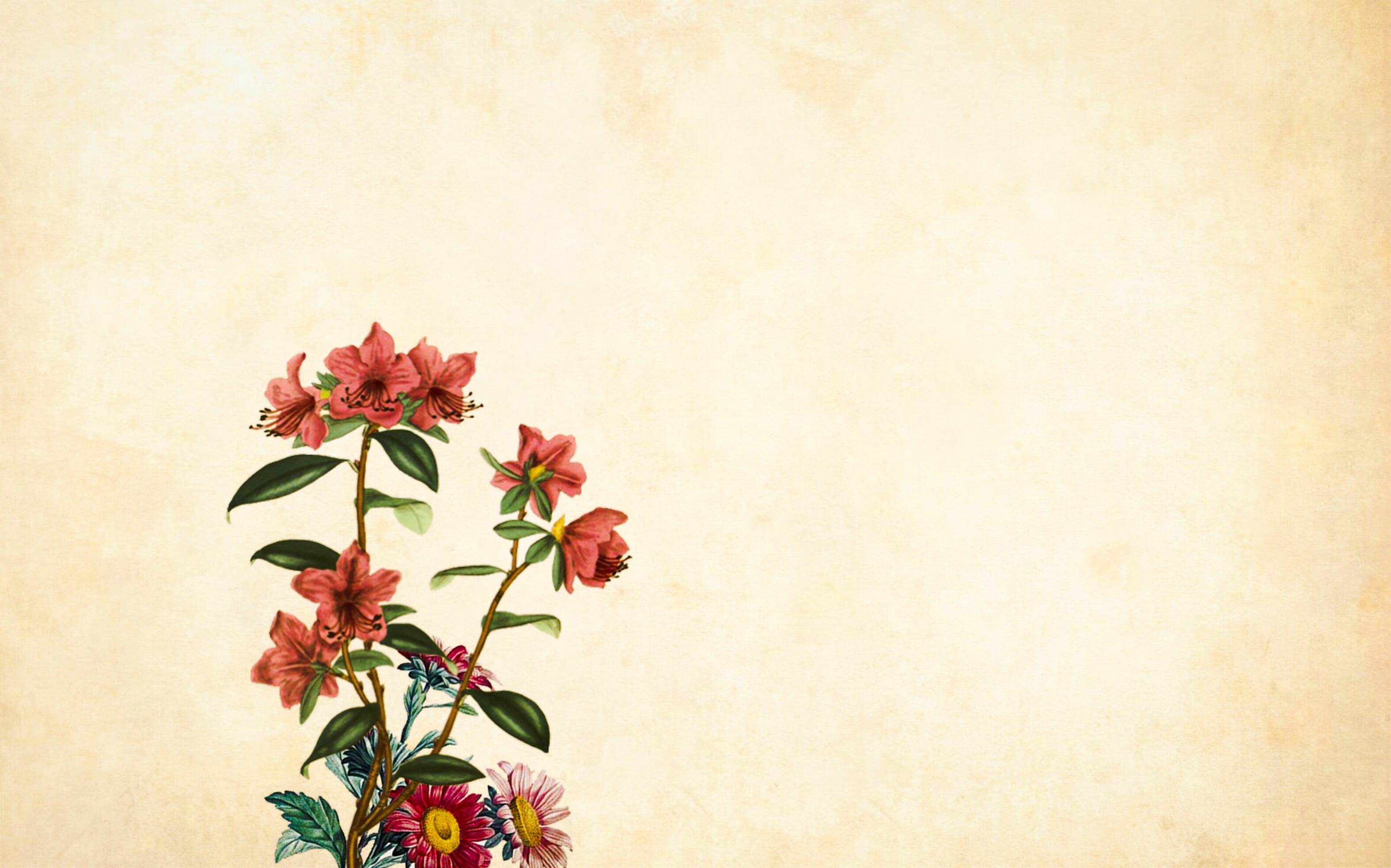 floral, 2K, flower arrangement, flower, plant, studio shot, indoors, retrostyled, vulnerability, decoupage, blank, vase, old, leaf, decoration, no people, HD Wallpaper