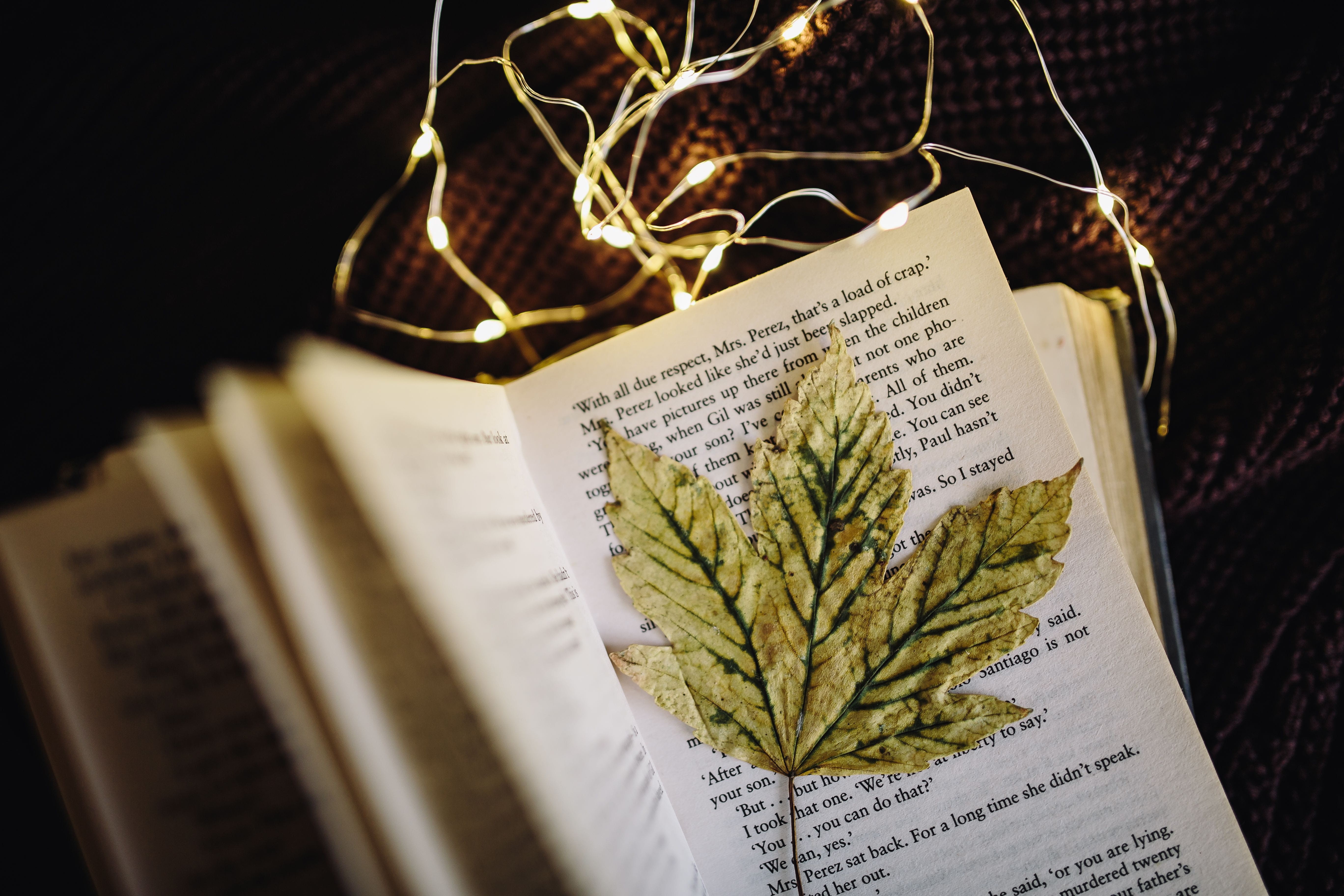 religion, time, paper, page, western script, high angle view, bokeh, no people, making, indoors, spirituality, lights, plant, text, day, healthcare and medicine, HD Wallpaper