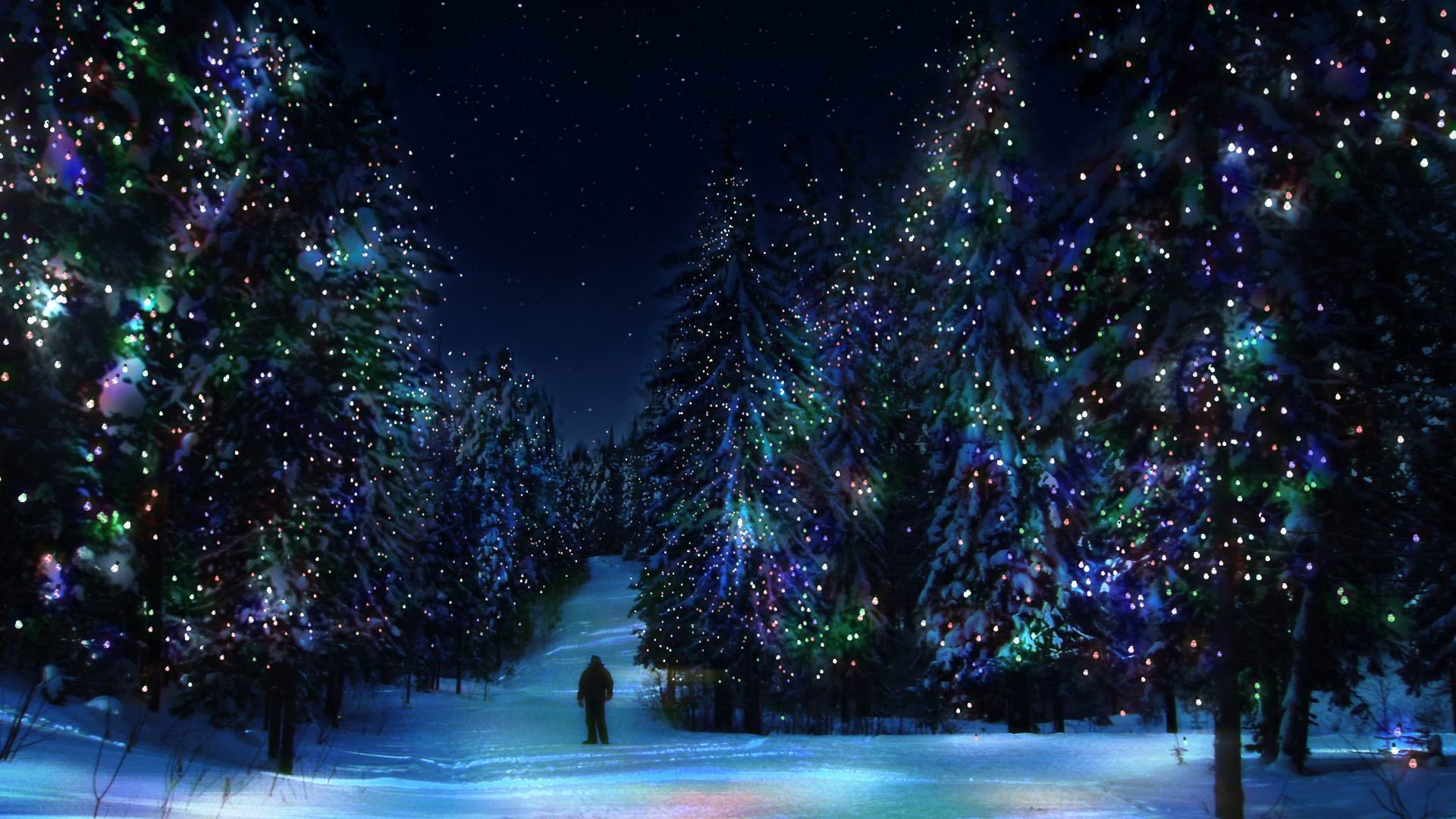 light, decoration, year, star, winter, season, tree, water, holiday, snow, art, clear, new, sky, natural, stars, clouds, sun, landscape, christmas, grass, HD Wallpaper