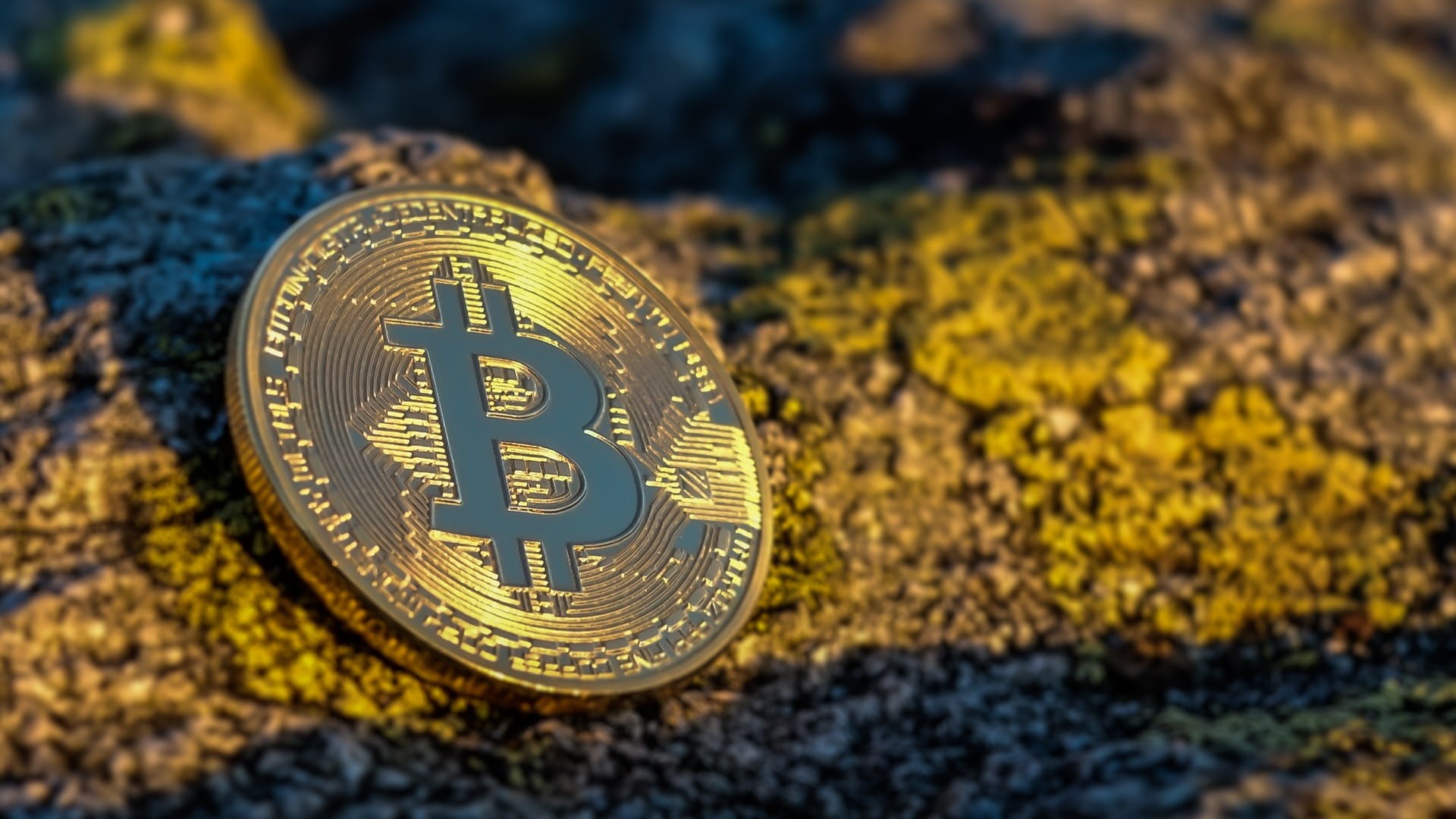 1080P, business, focus on foreground, text, history, the past, bitcoin, cryptocurrency, yellow, savings, communication, investment, currency, no people, HD Wallpaper