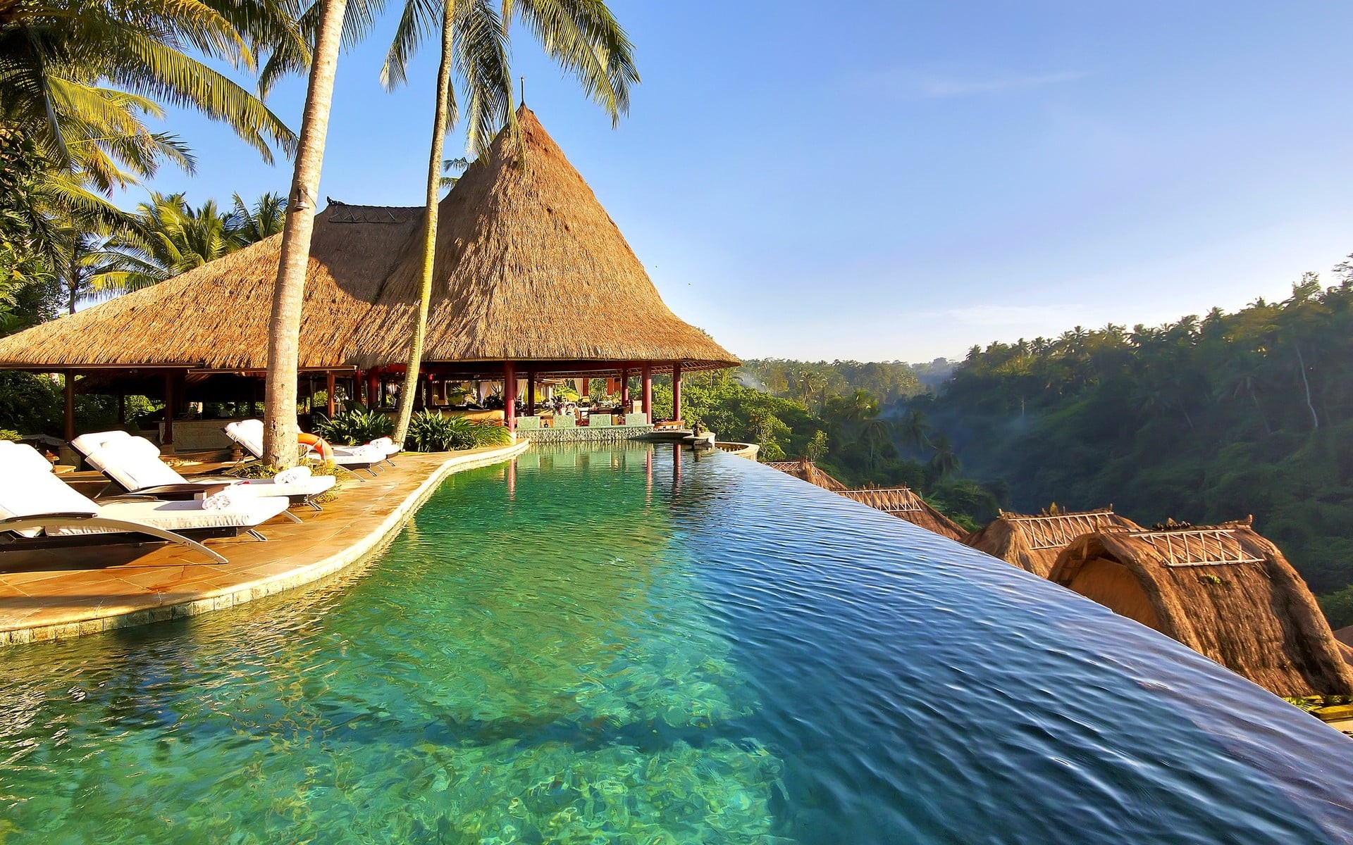 roof, tree, plant, swimming pool, landscape, exotic, palm trees, architecture, built structure, forest, tropical, 1080P, palm tree, outdoors, idyllic, HD Wallpaper