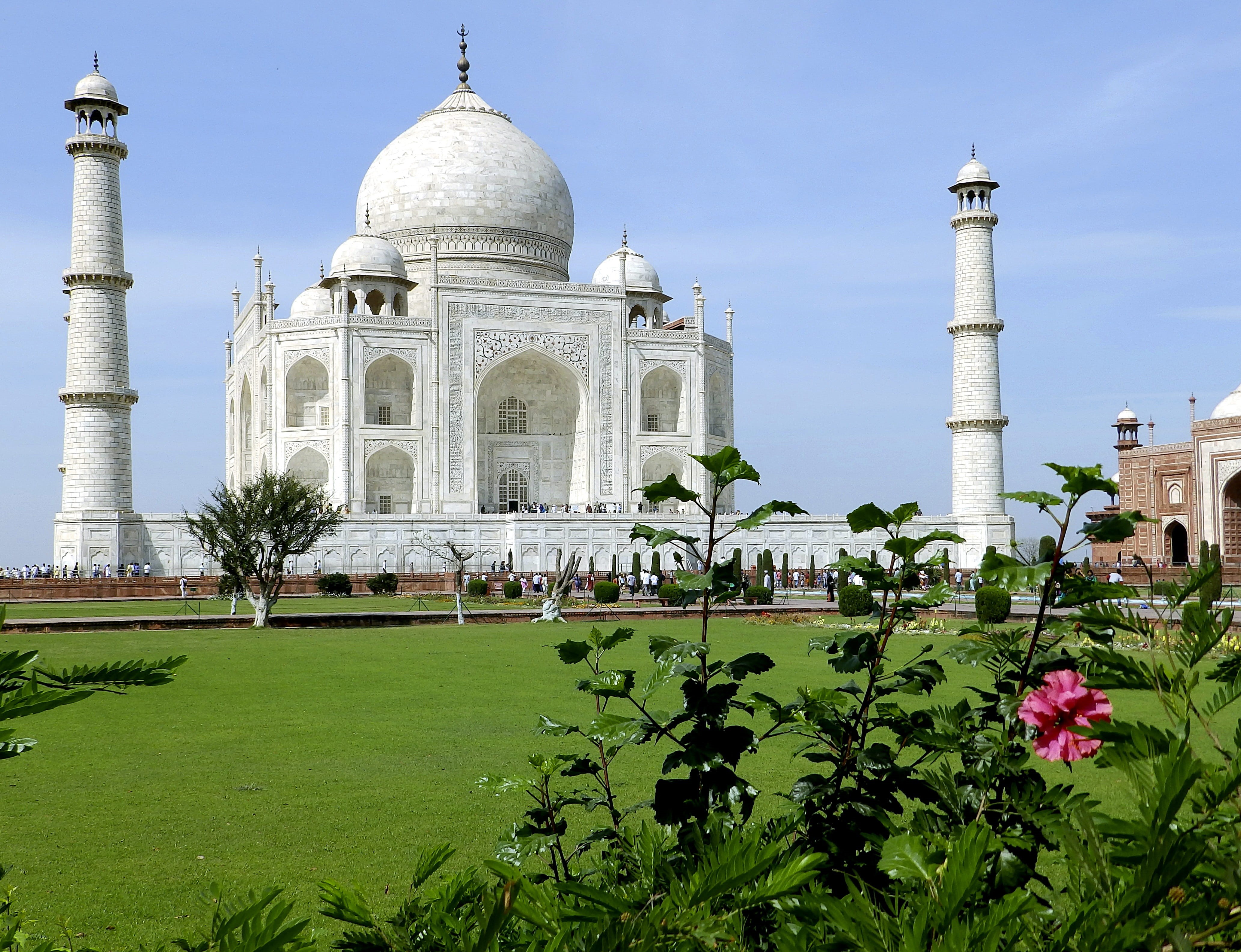 the past, India, history, spire, tourism, architecture, Agra, nature, plant, day, Taj Mahal, grave mosque, building exterior, 4K, green color, mughal style, HD Wallpaper