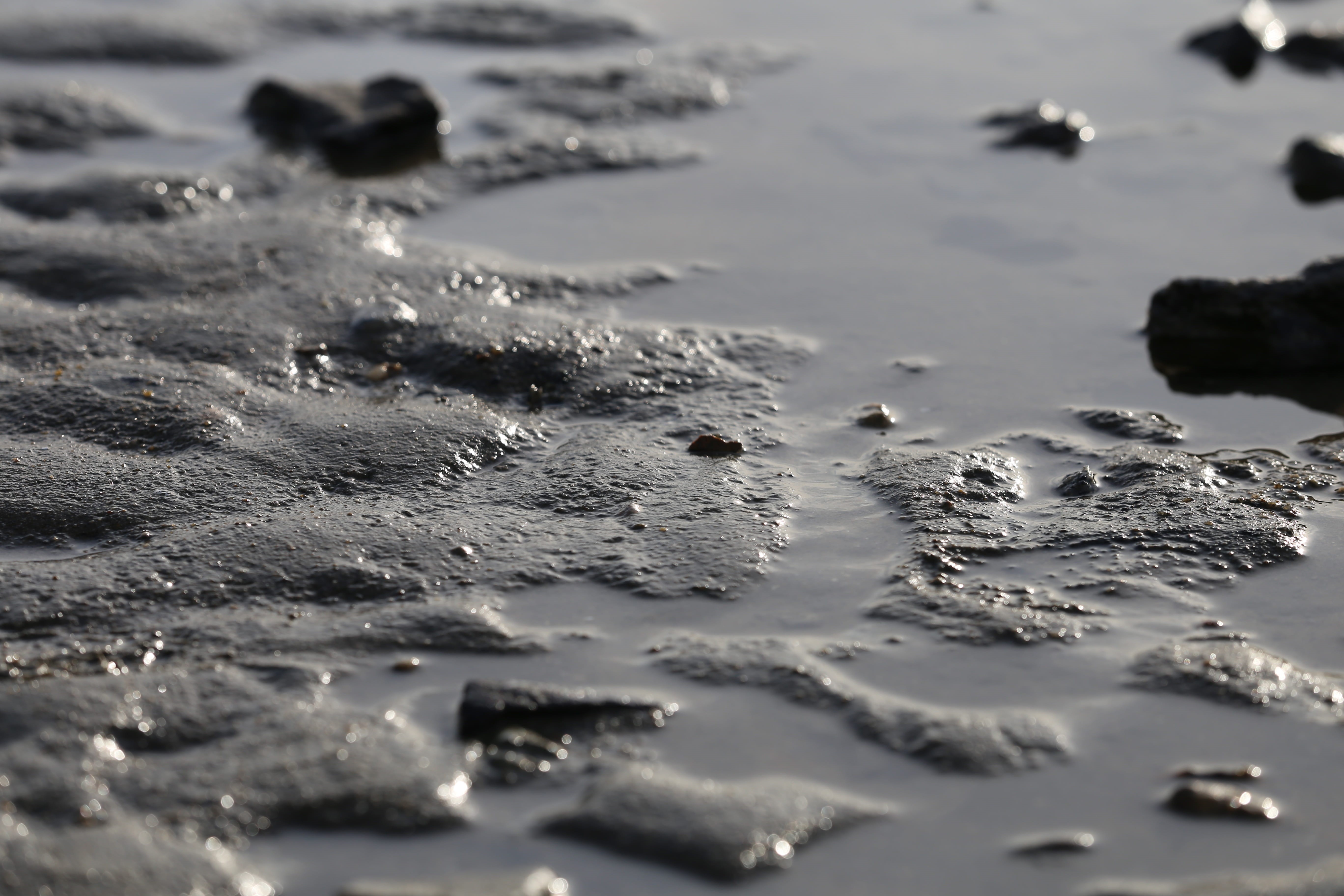 tidal, wet, beach, day, land, landscape, 5K, blue sky, tranquility, rock, outdoors, west coast, bathing beach, reflection, beauty in nature, sand, nature, HD Wallpaper