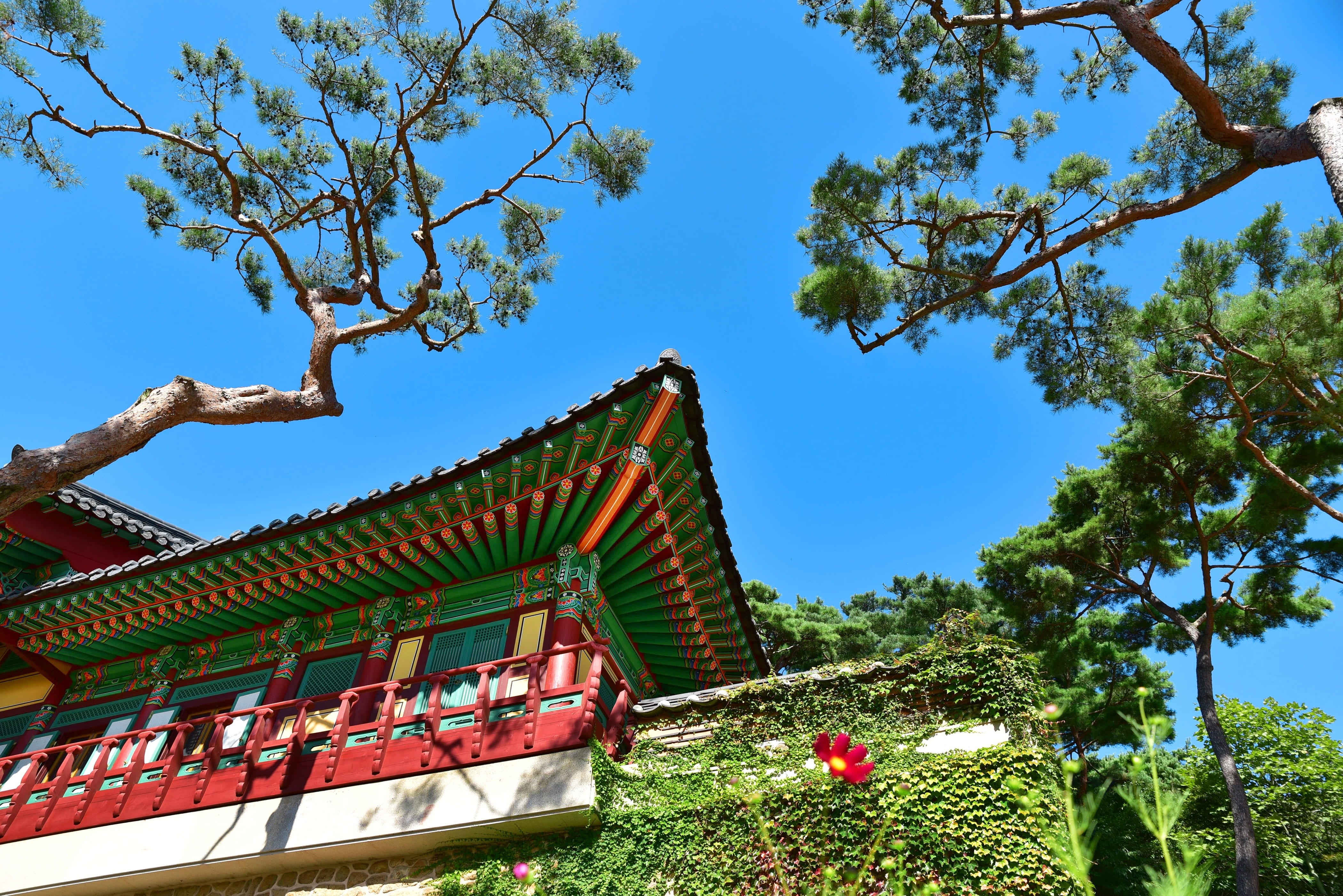 incheon, religion, green color, wish, korea, mountain, daytime, genesis, tree, no people, architecture, roof tile, blue, day, a, monk, mono, plant, low, HD Wallpaper