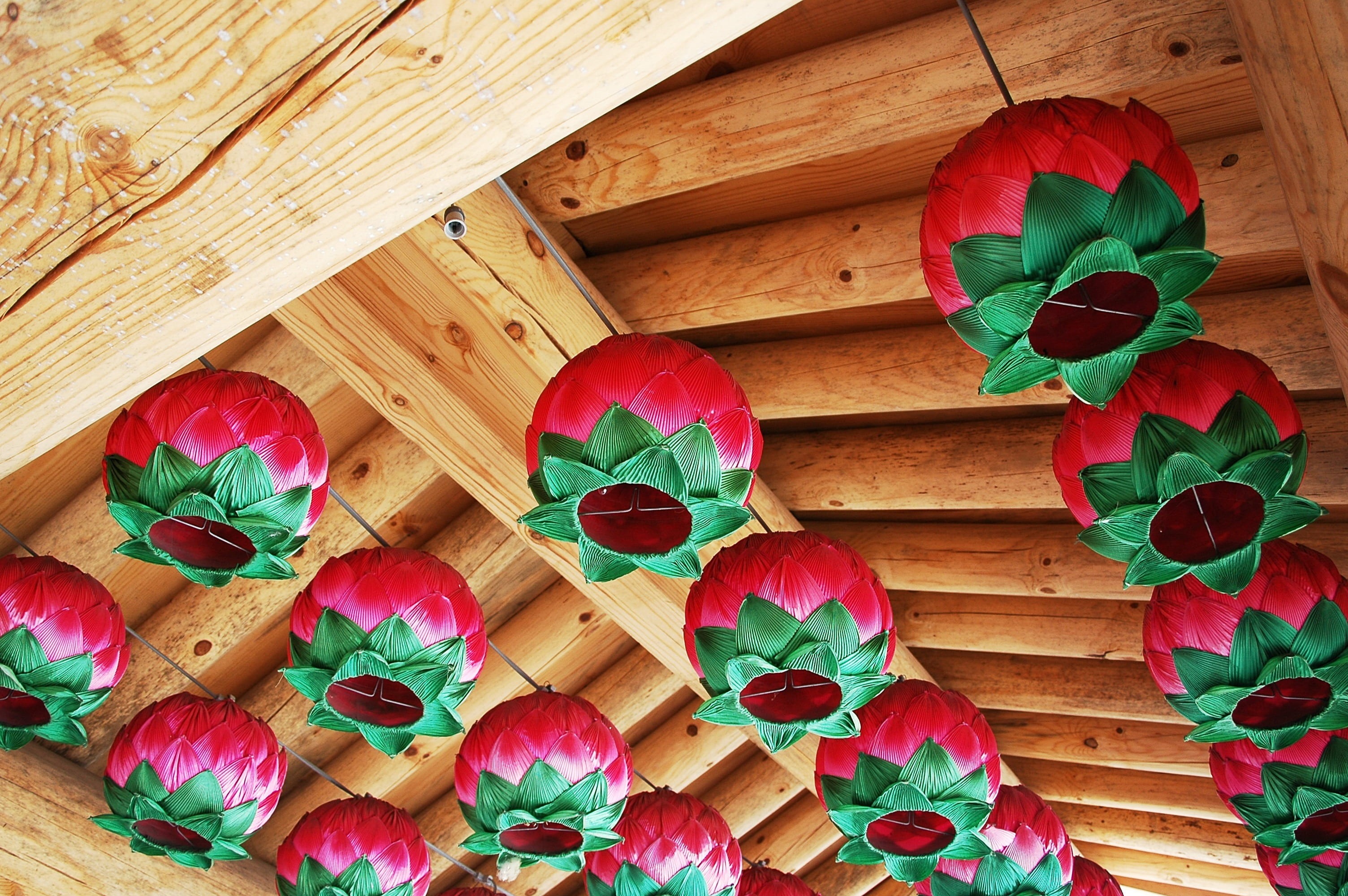 indoors, pattern, taking into consideration the mountain, ganghwado, directly above, large group of objects, close-up, high angle view, lantern, plant, HD Wallpaper