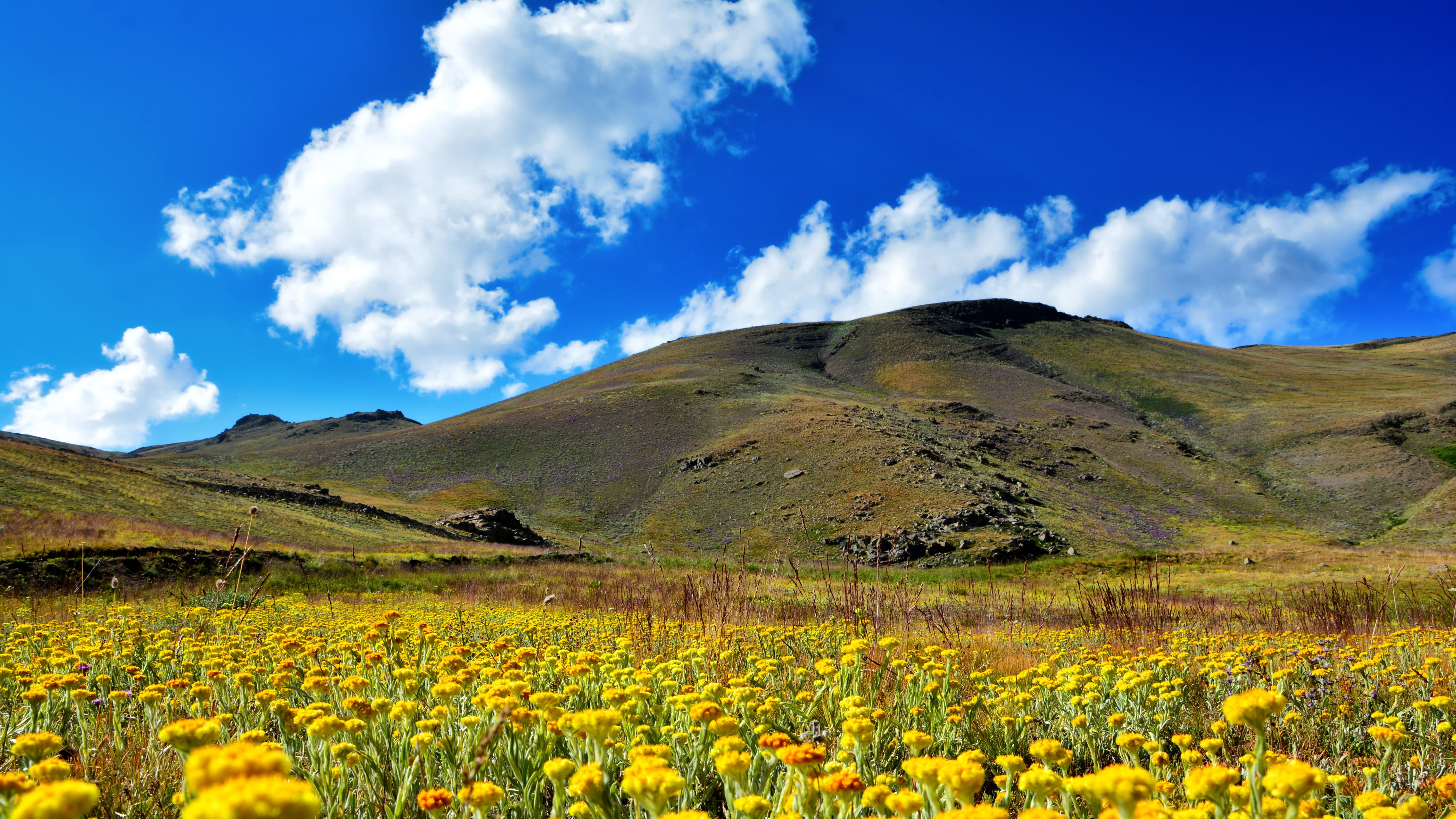 ispir, nature, rize, turkey, landscapes nature, season, scenics - nature, rocks, fog, grassland, cloud - sky, day, field, peace, yellow, from gateway, mountain, HD Wallpaper