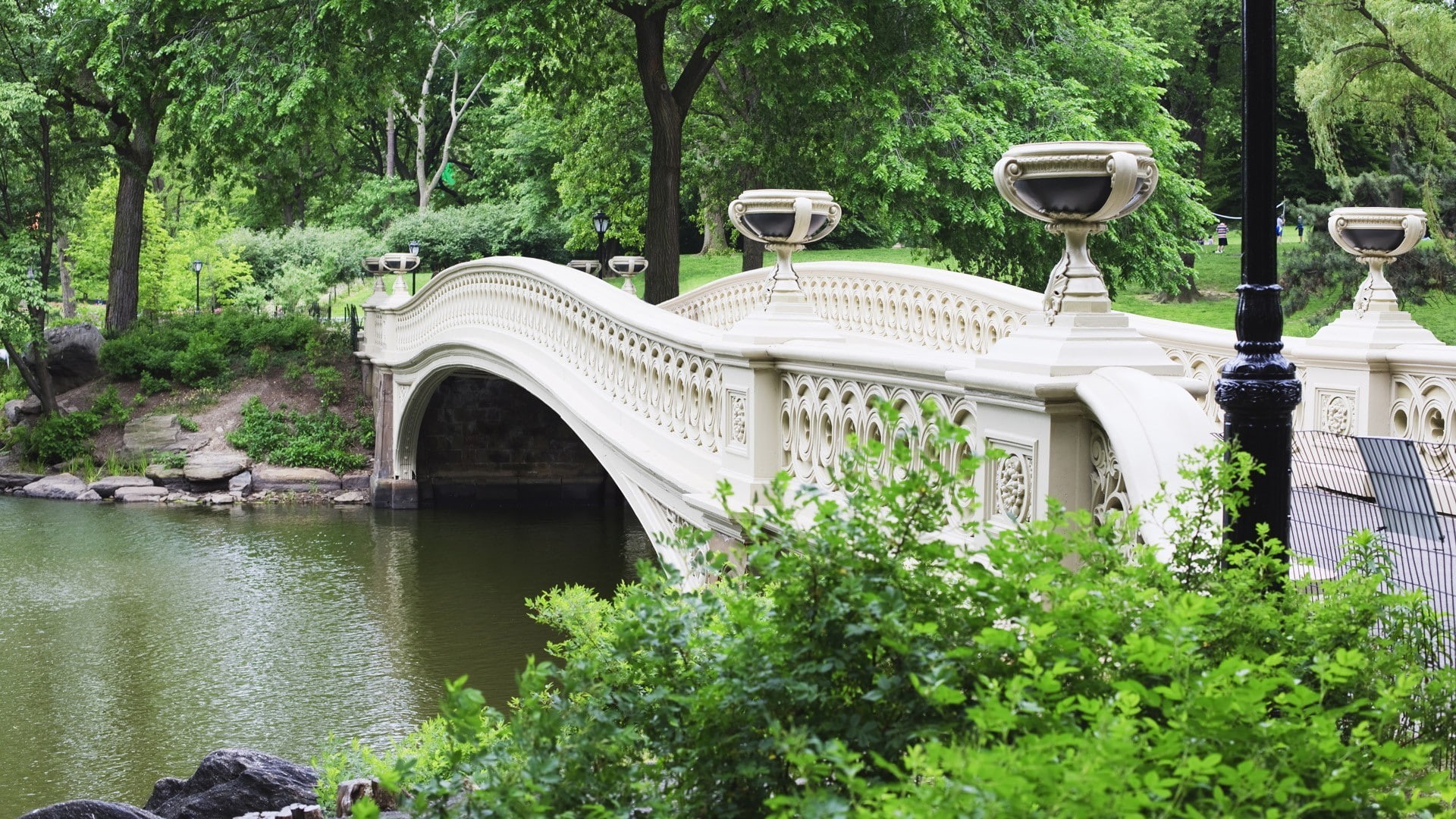 architecture, lush foliage, built structure, day, nature, 1080P, outdoors, water, New York City, plant, growth, bridge - man made structure, beauty in nature, HD Wallpaper