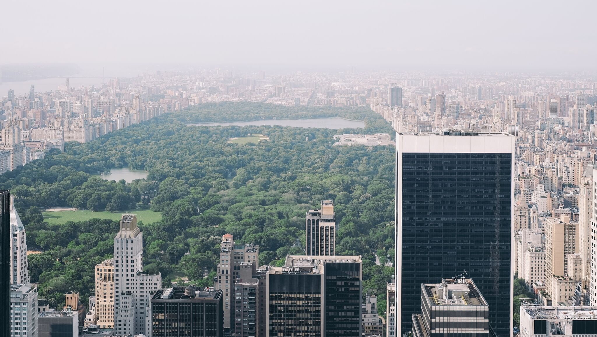 building, skyscraper, financial district, landscape, black, residential district, architecture, day, built structure, tower, white, tall - high, Central Park, HD Wallpaper