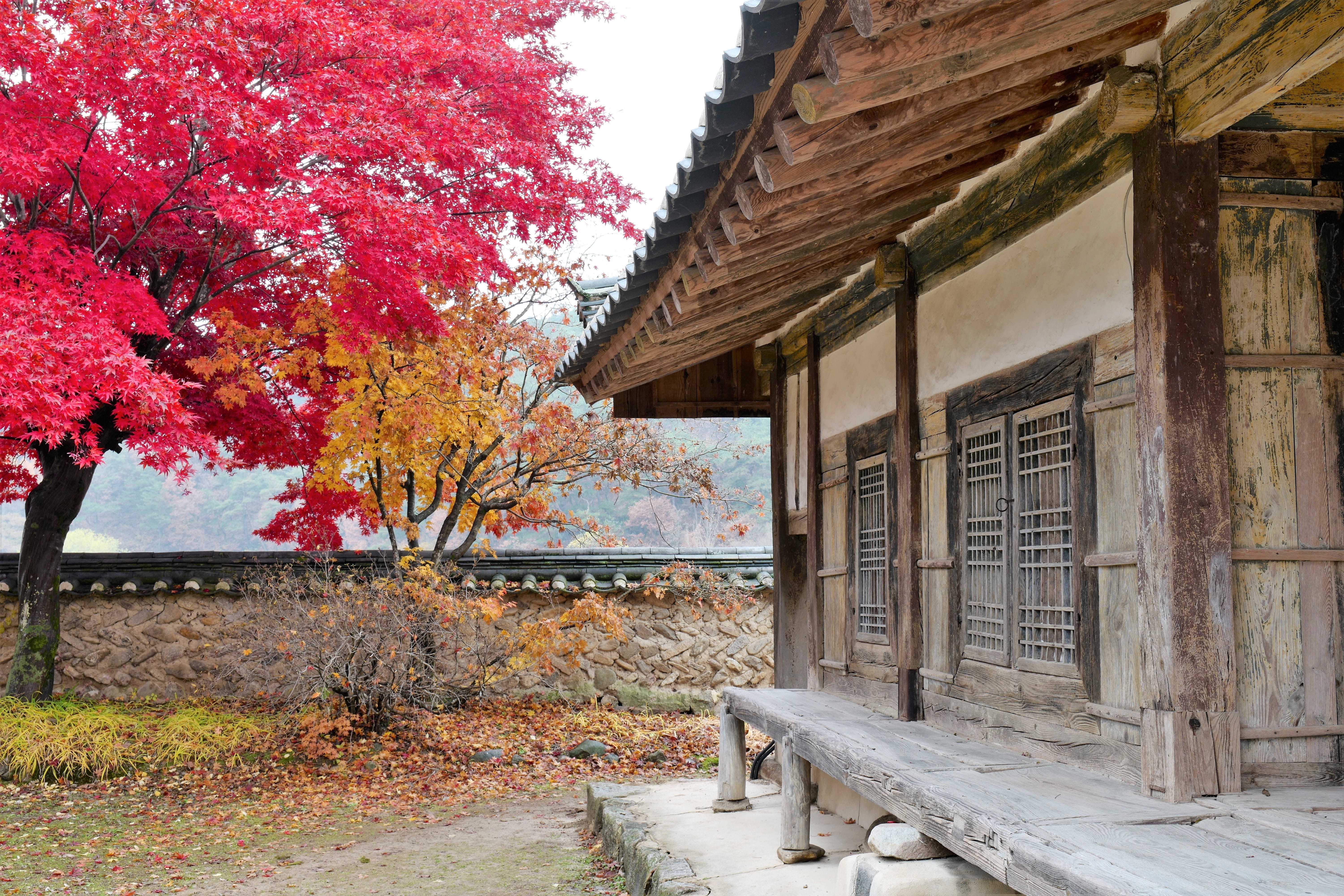 footpath, plant, tree, building exterior, change, outdoors, place of worship, religion, architectural column, tourism, mountain, beauty in nature, republic of korea, HD Wallpaper