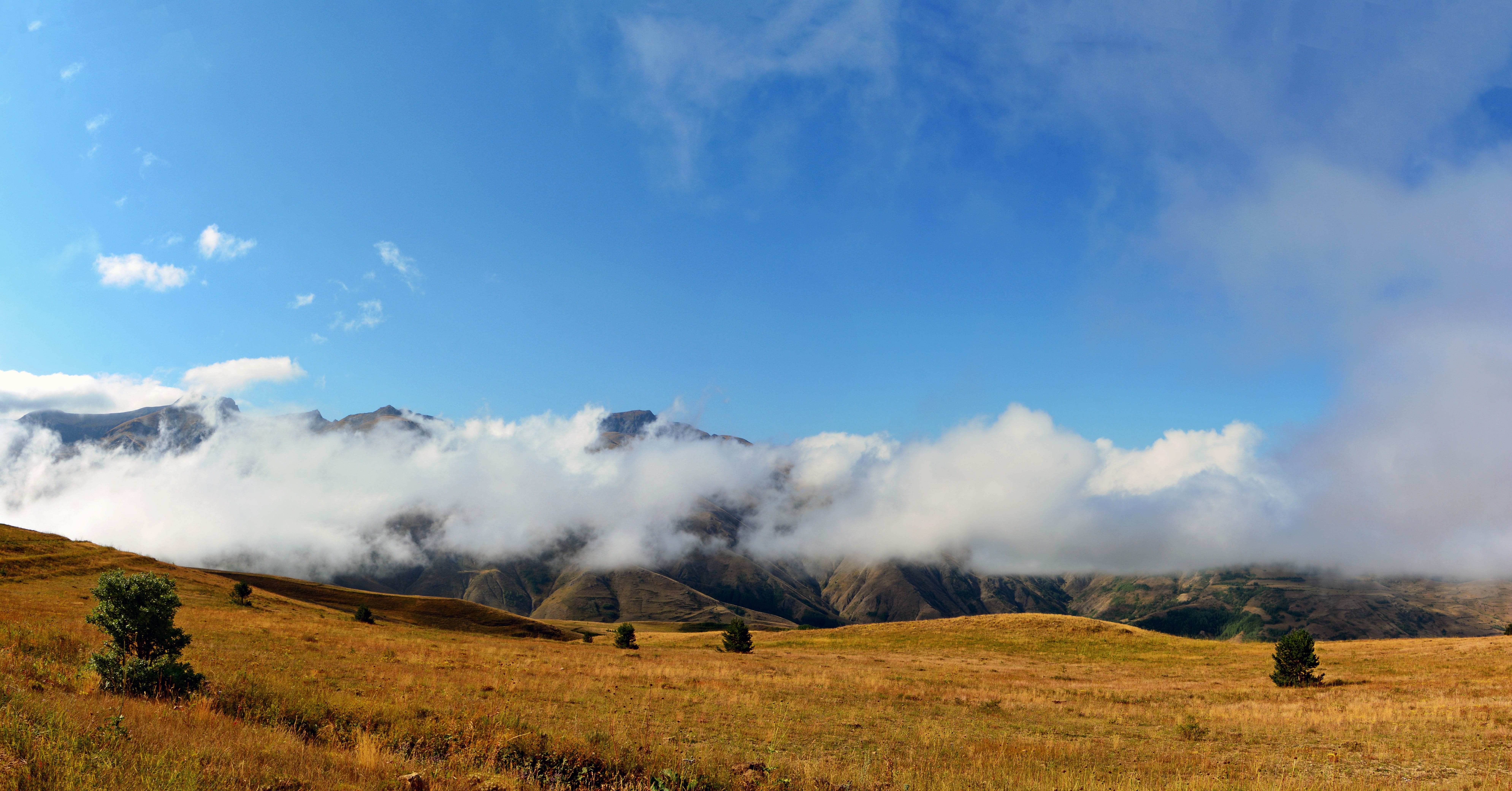 sky, scenics - nature, landscape, great, black sea, travel, spring flowers, walk in the mountains, pathway, camp, holiday, green, cloud, mountain, travel destinations, HD Wallpaper