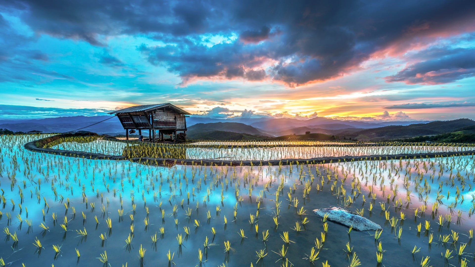 hut, landscape, sunset, 1080P, rice fields, mountains, rice paddy, HD Wallpaper
