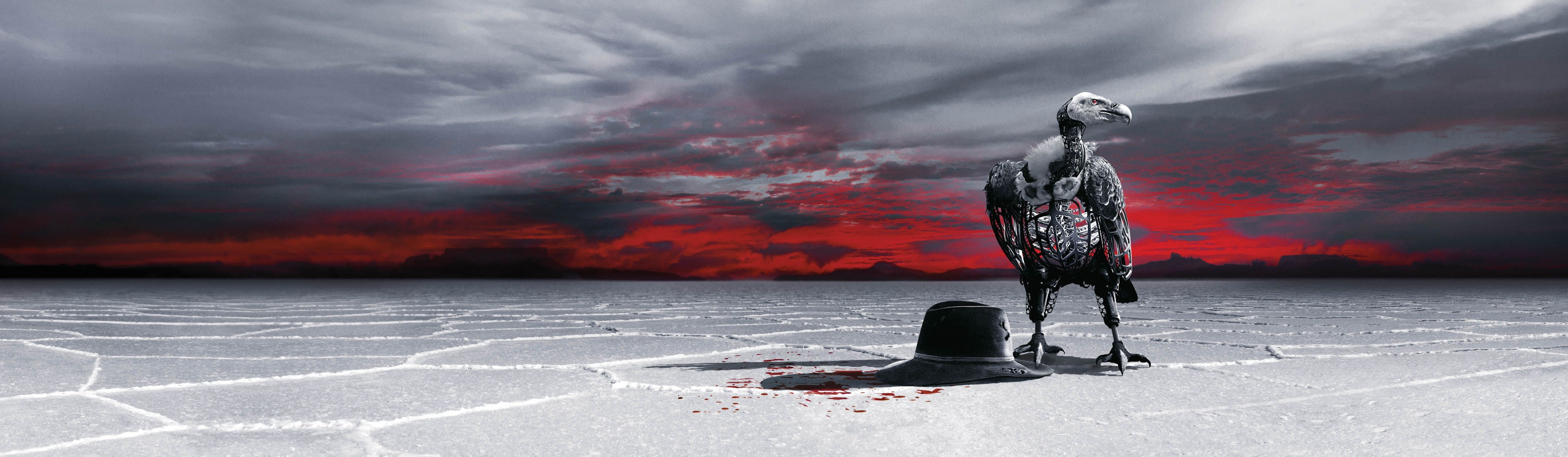 glow, feathers, hat, sunset, Raven, westworld, shadow, skeleton, 5K, HD Wallpaper